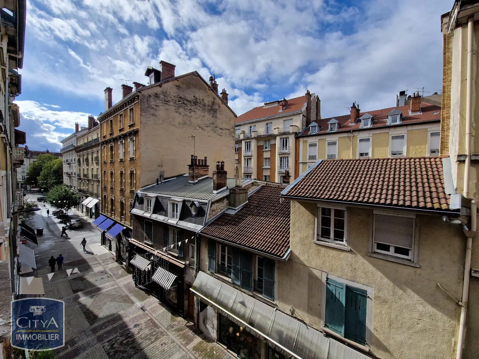 Photo 7 appartement Grenoble
