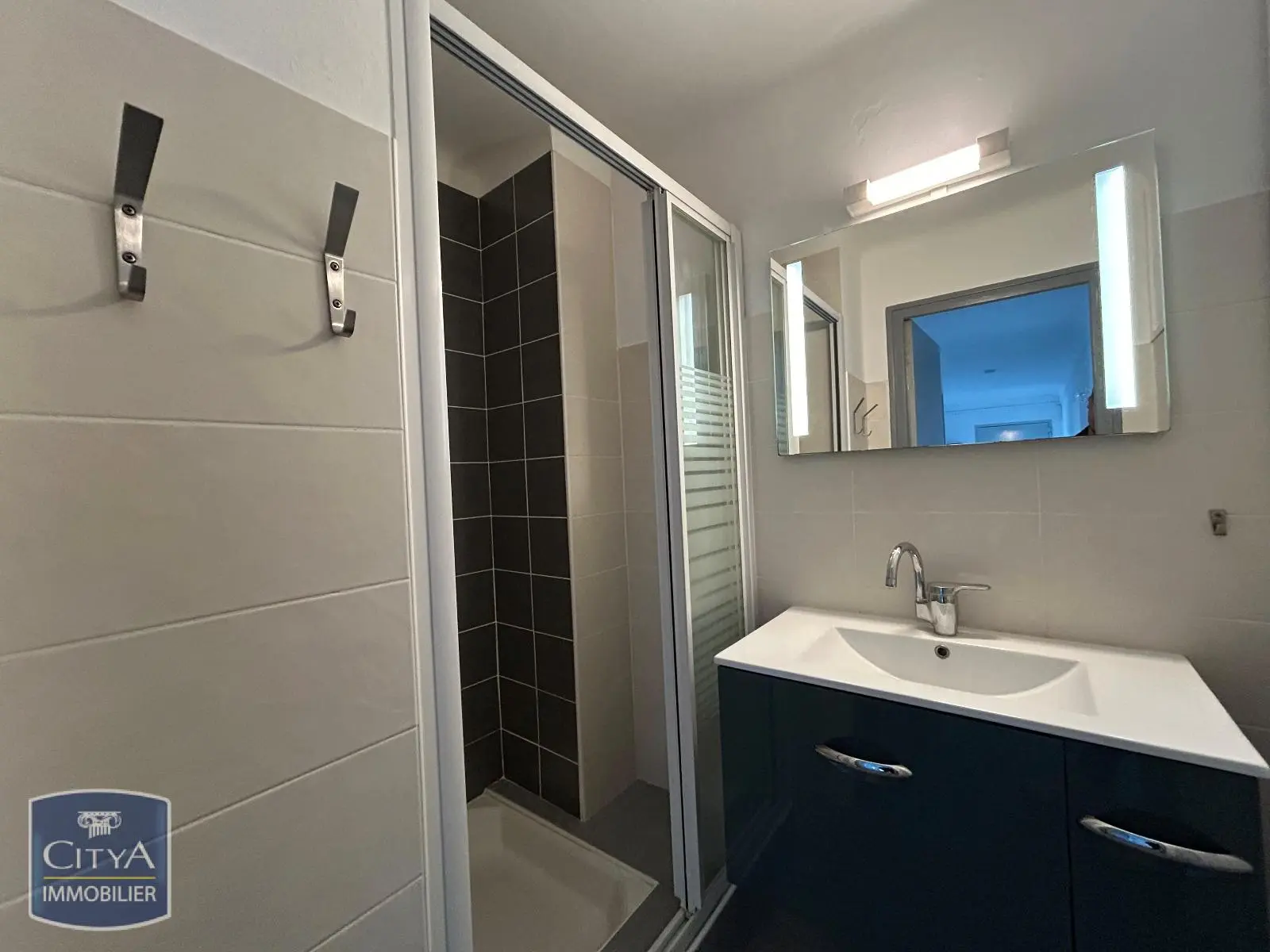 Photo 5 appartement Grenoble