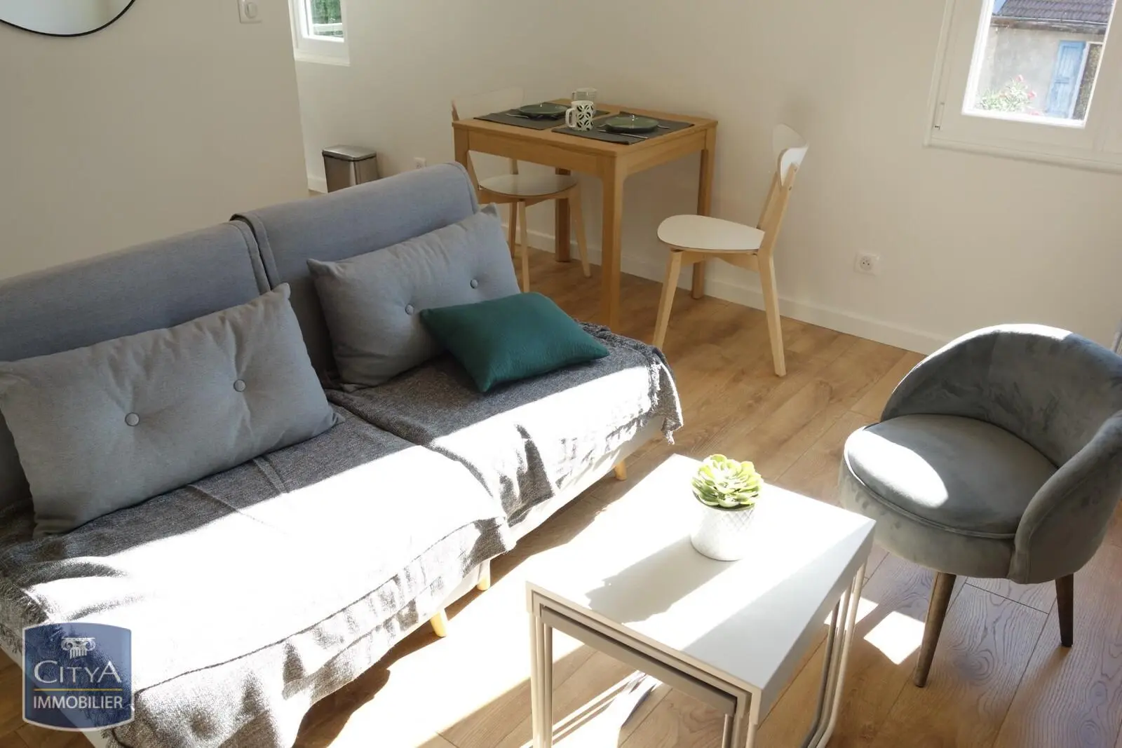 Photo 1 appartement Grenoble