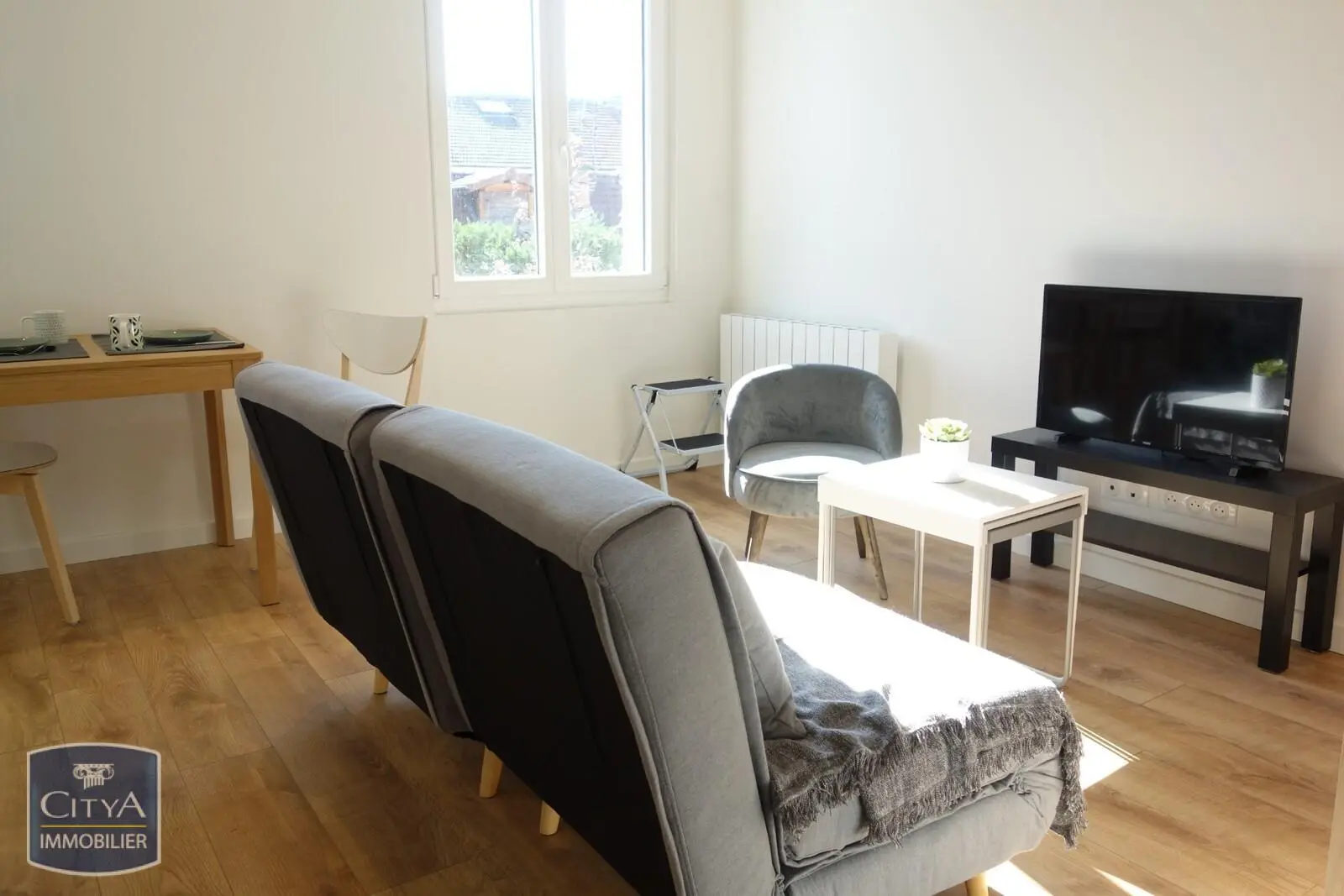 Photo 2 appartement Grenoble