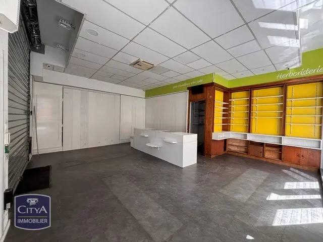 Photo 10 appartement Grenoble