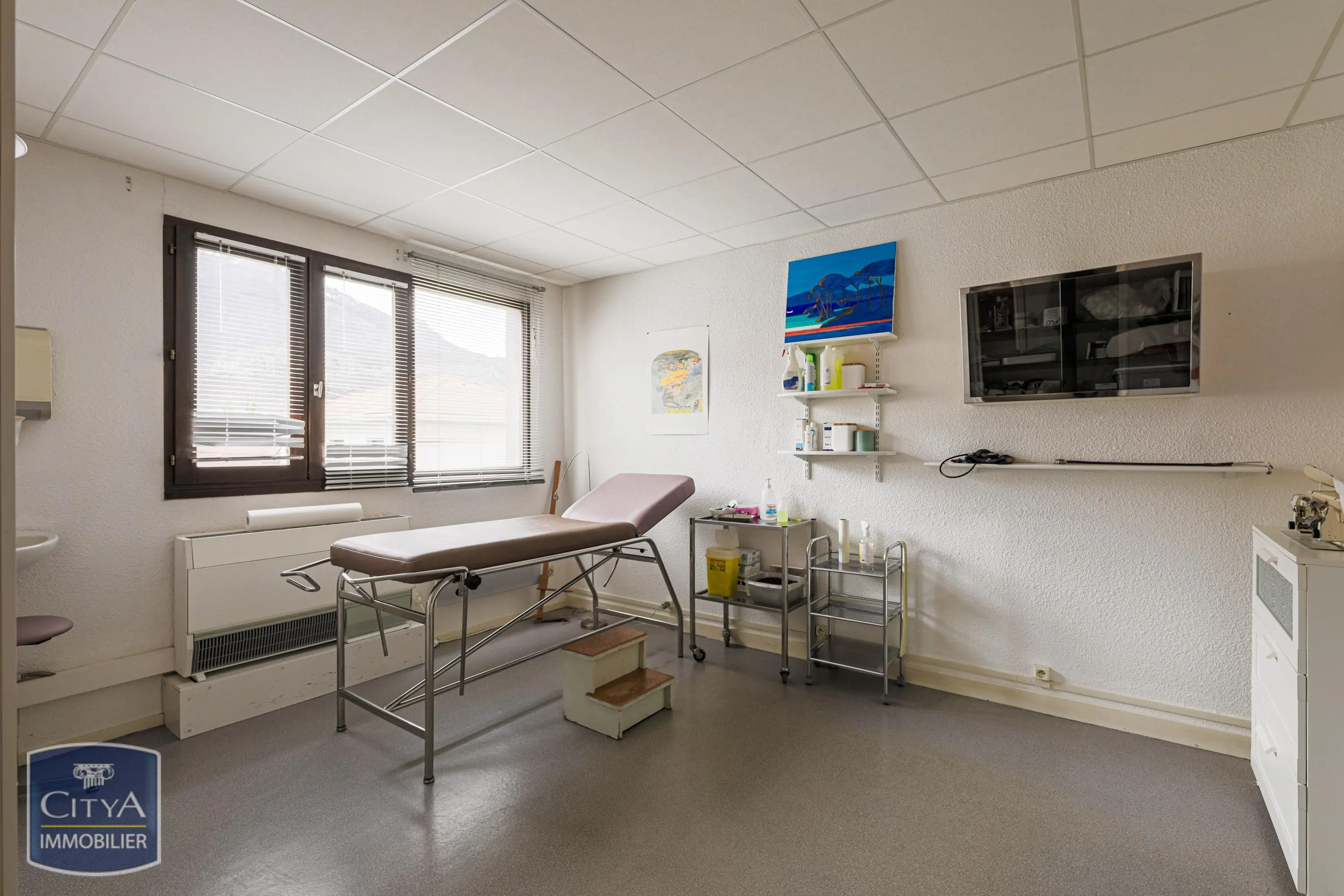 Photo 1 Local Professionnel 124m²