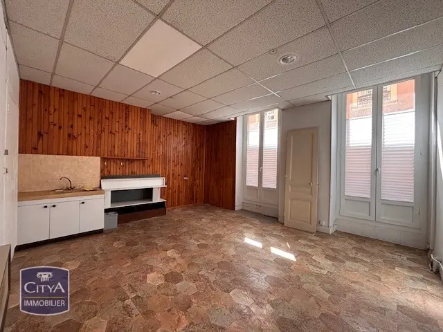 Photo 6 appartement Grenoble