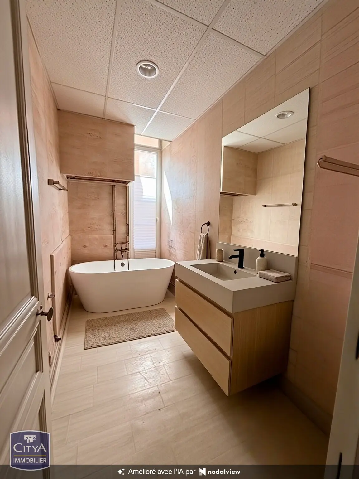 Photo 3 appartement Grenoble