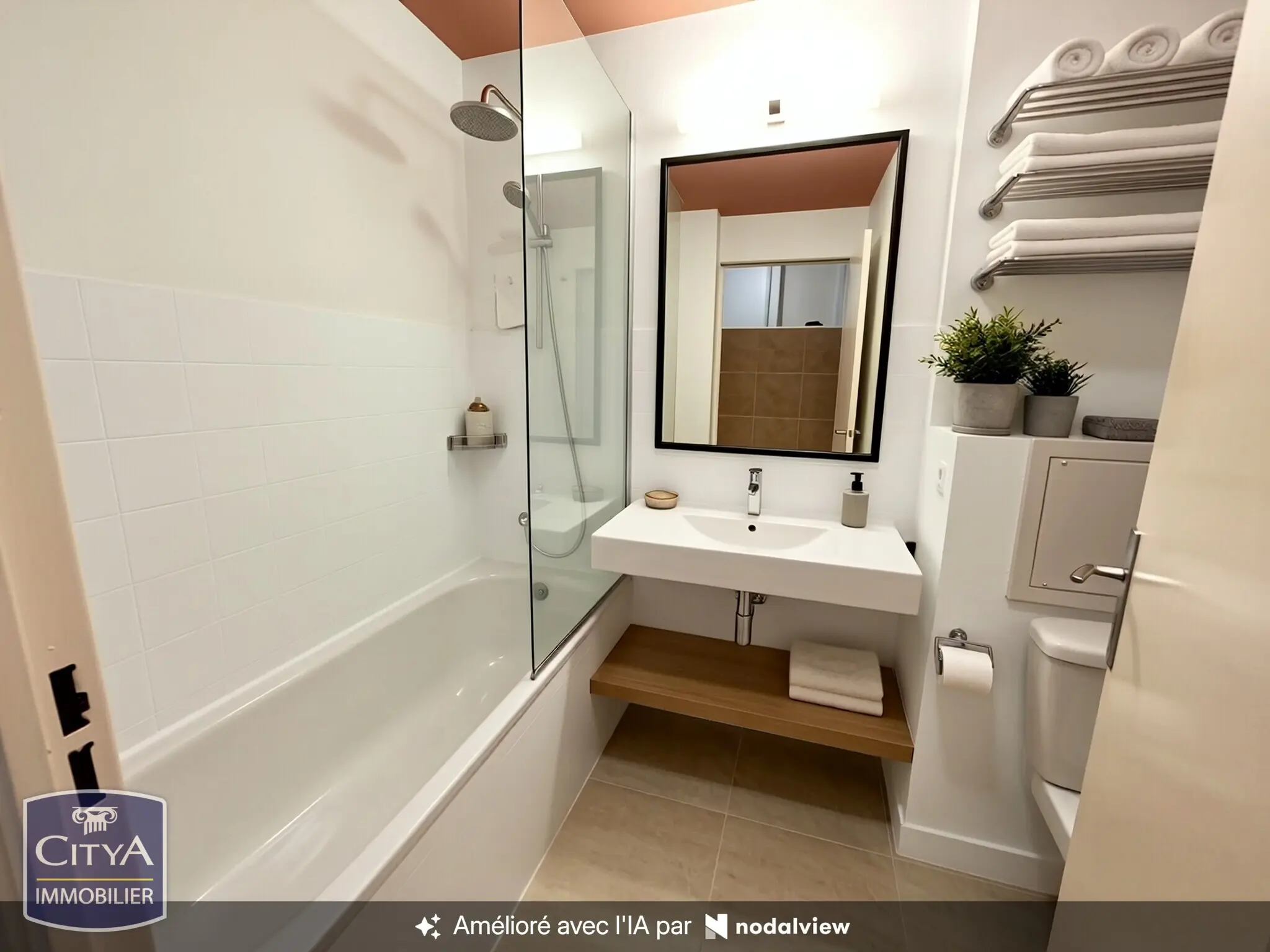 Photo 5 appartement Grenoble