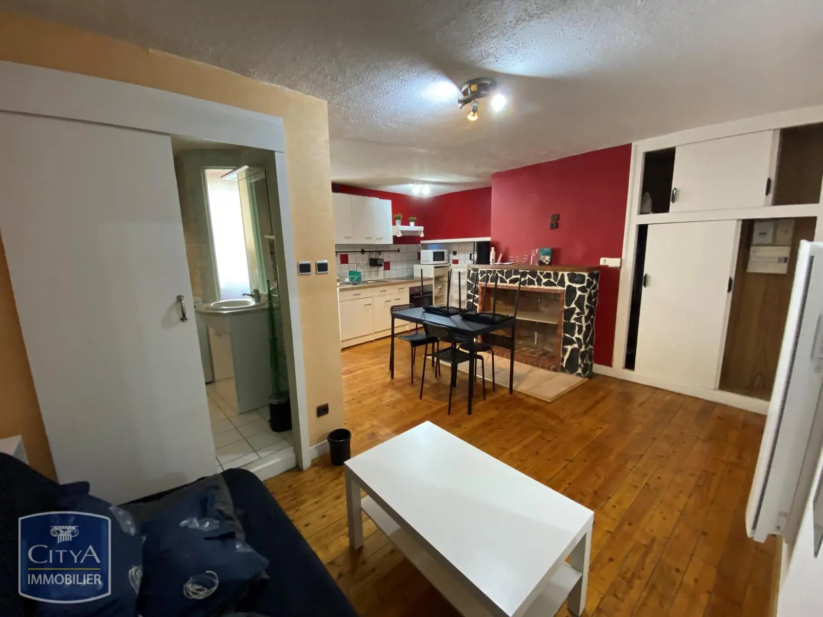 Photo 3 appartement Grenoble