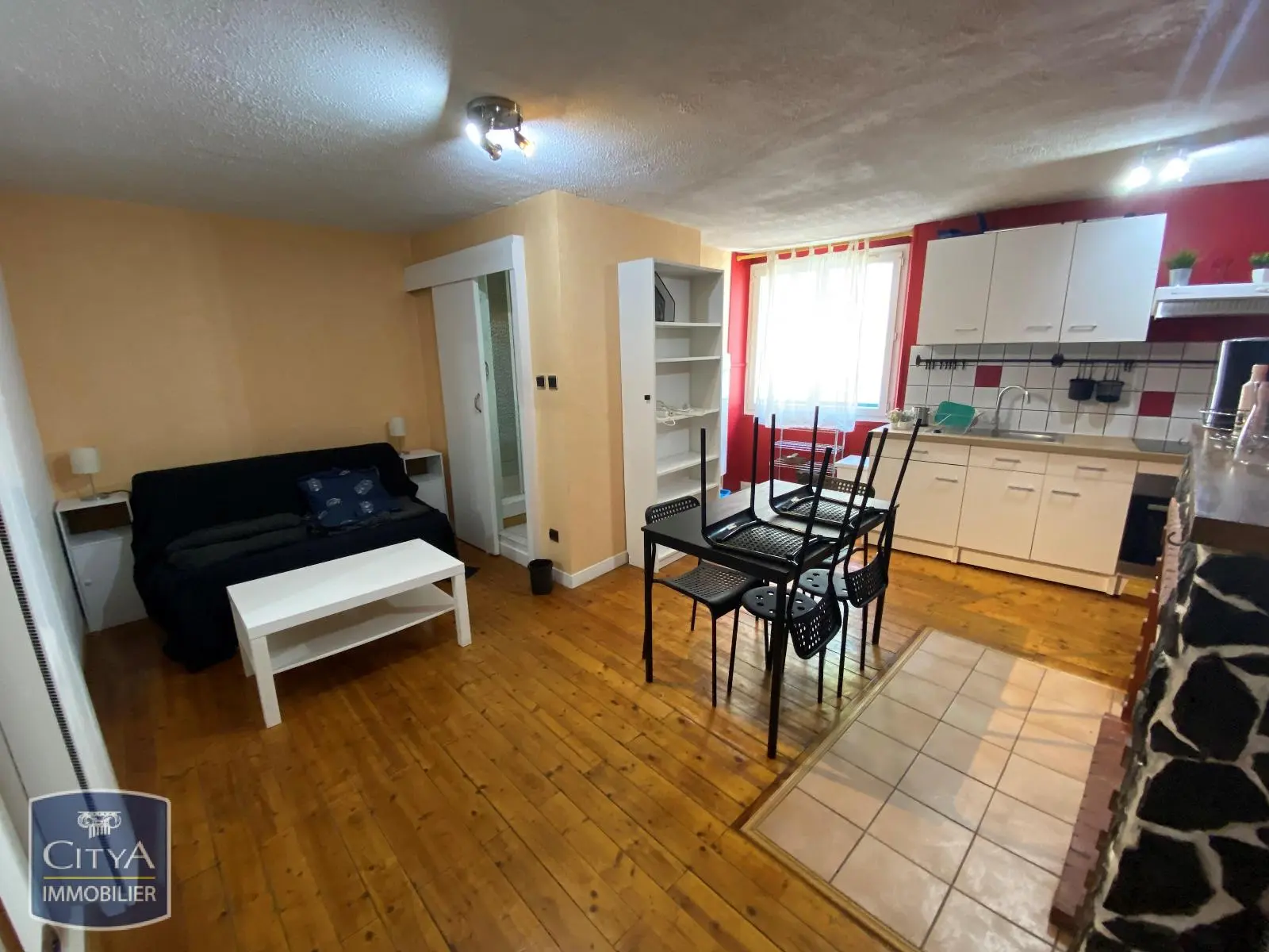 Photo 5 appartement Grenoble