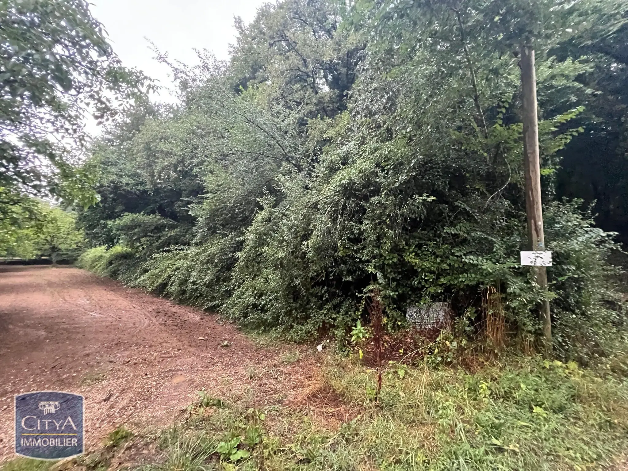 Photo 3 Terrain