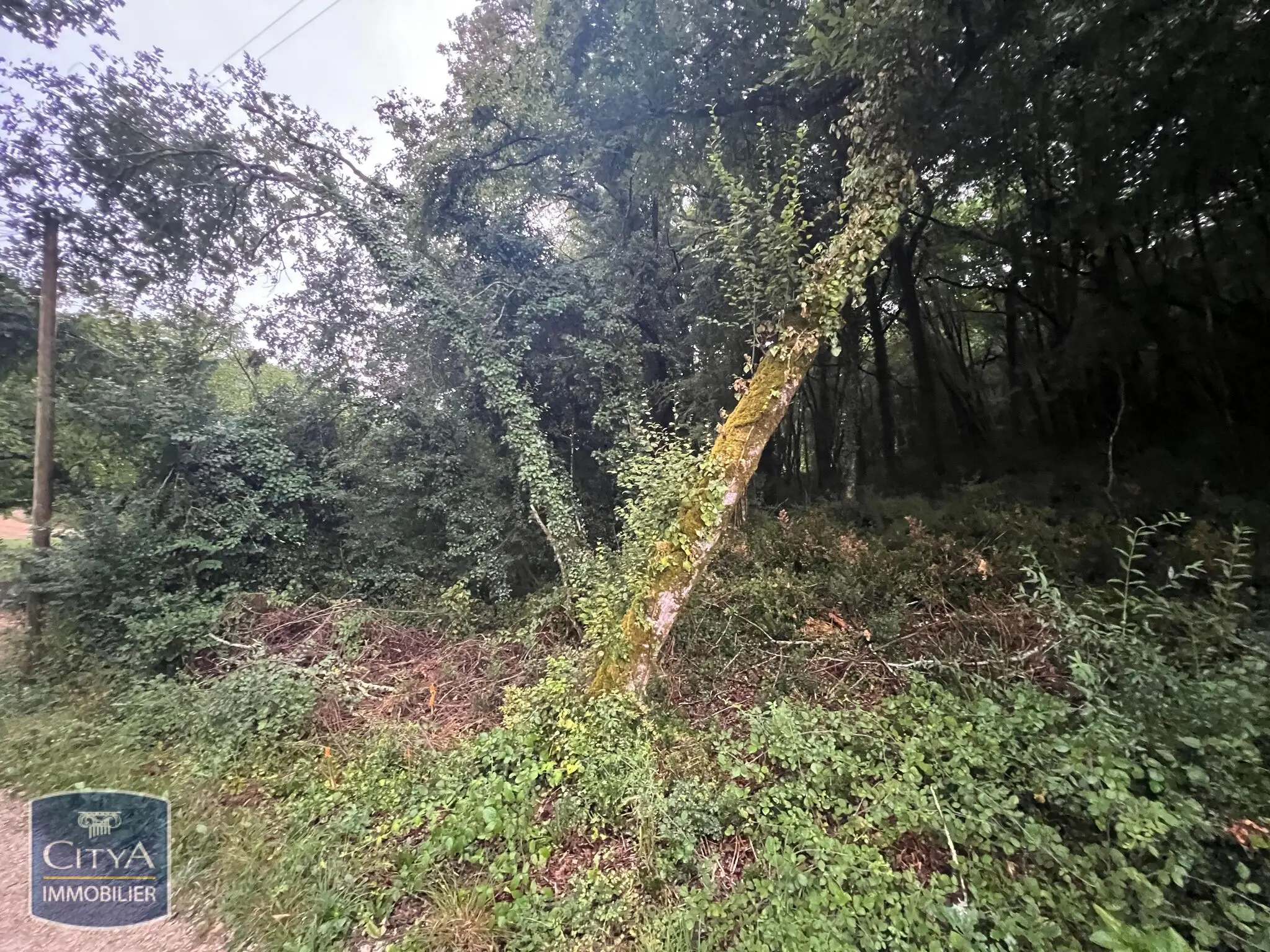 Photo 11 Terrain