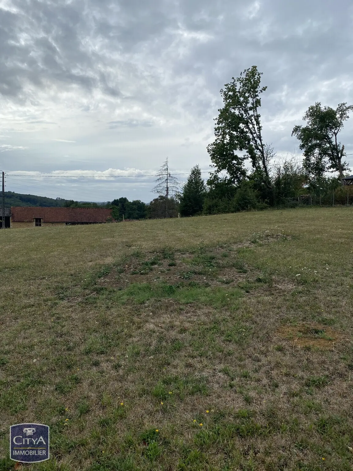 Photo 3 Terrain