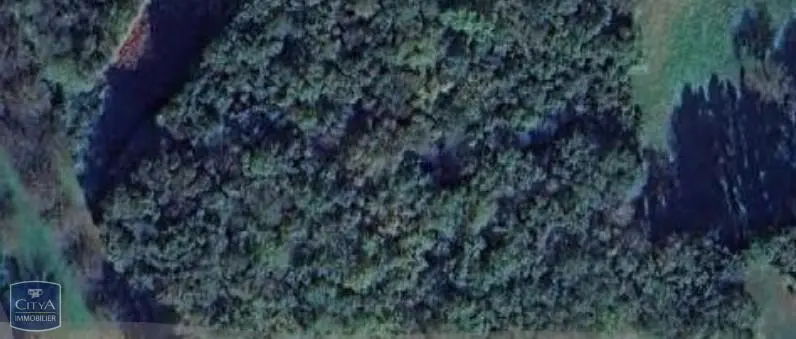 Photo 16 Terrain