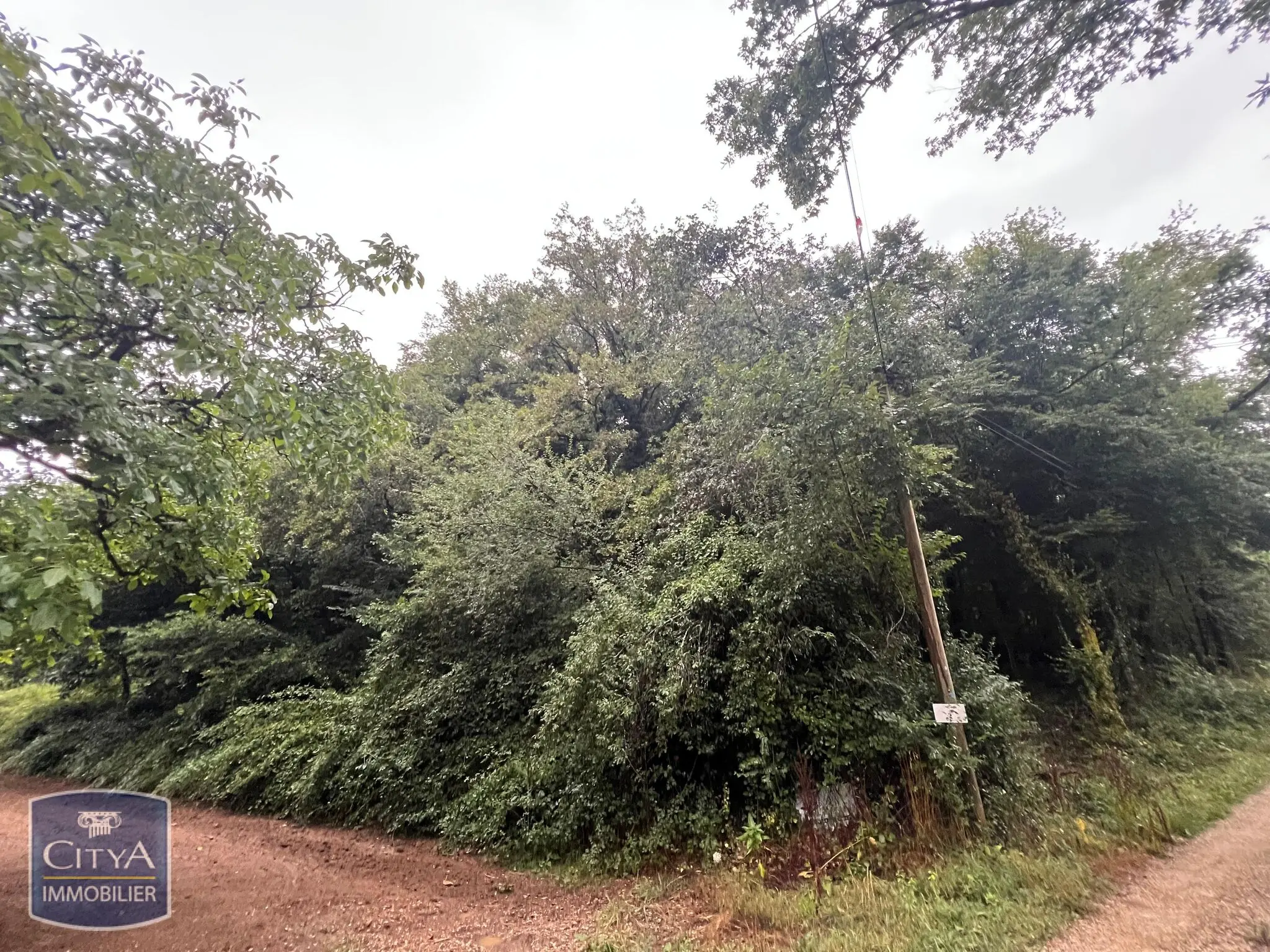 Photo 15 Terrain