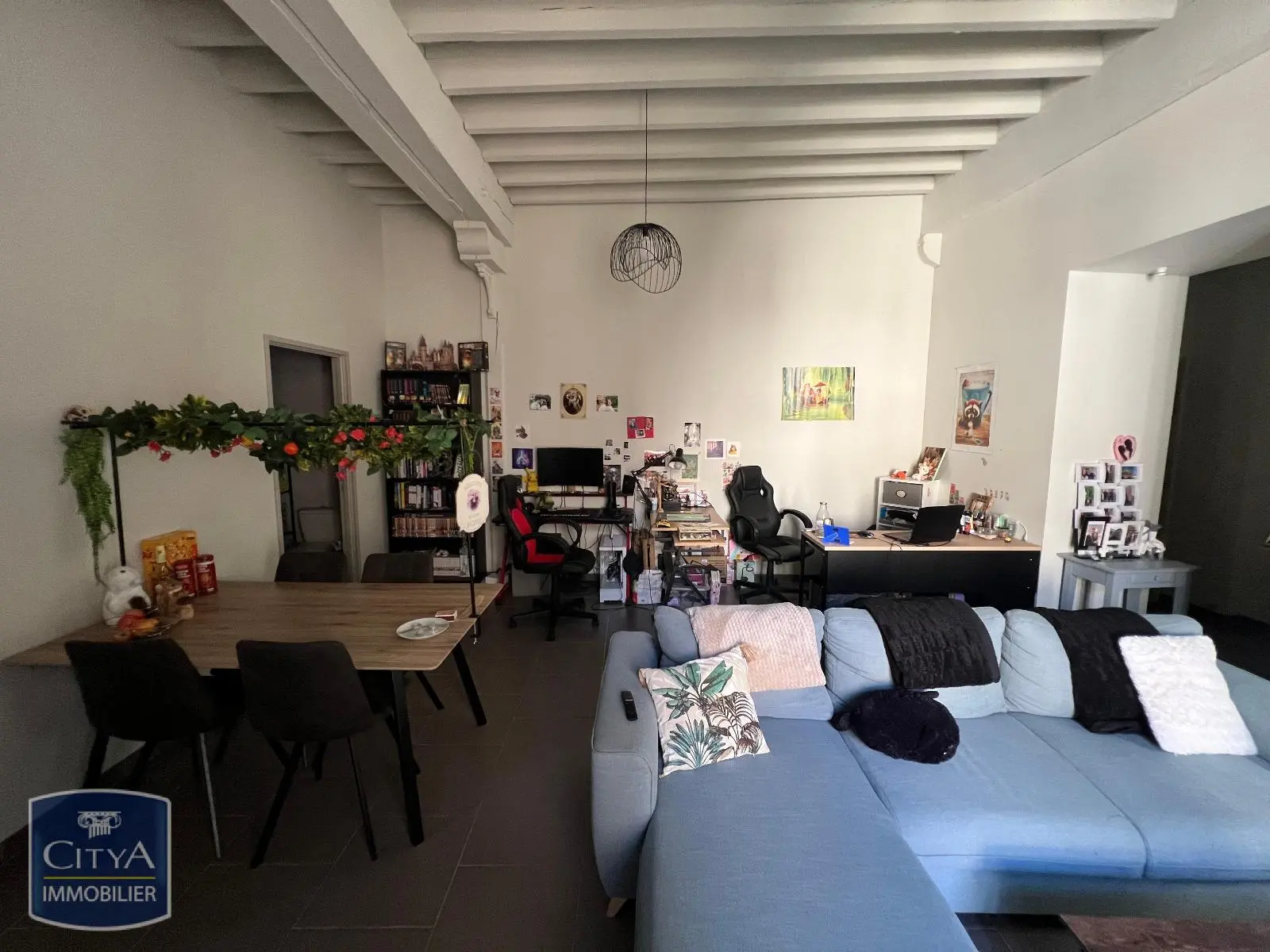 Photo 2 appartement Saint-Cyprien