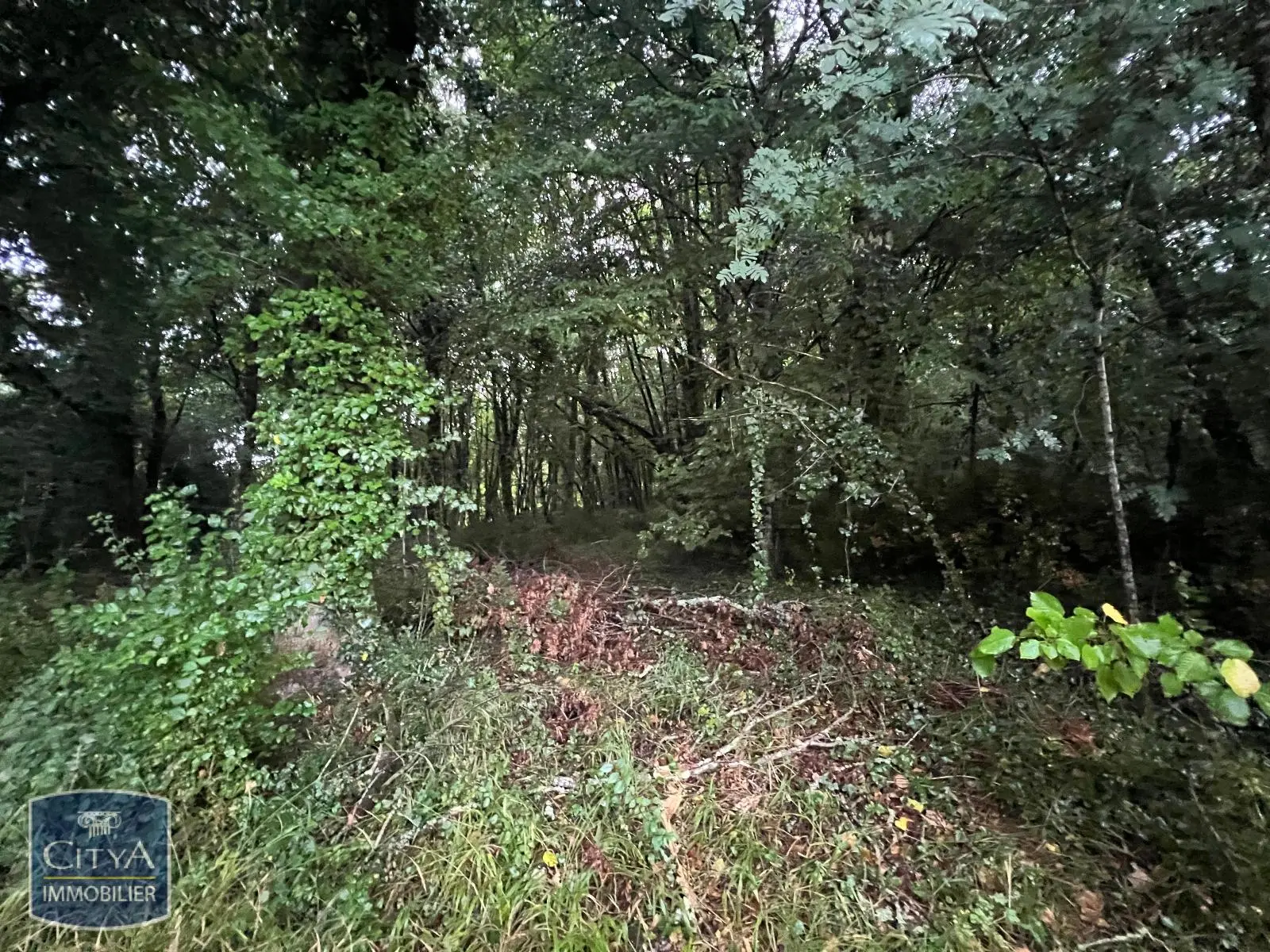 Photo 9 terrain Carsac-Aillac