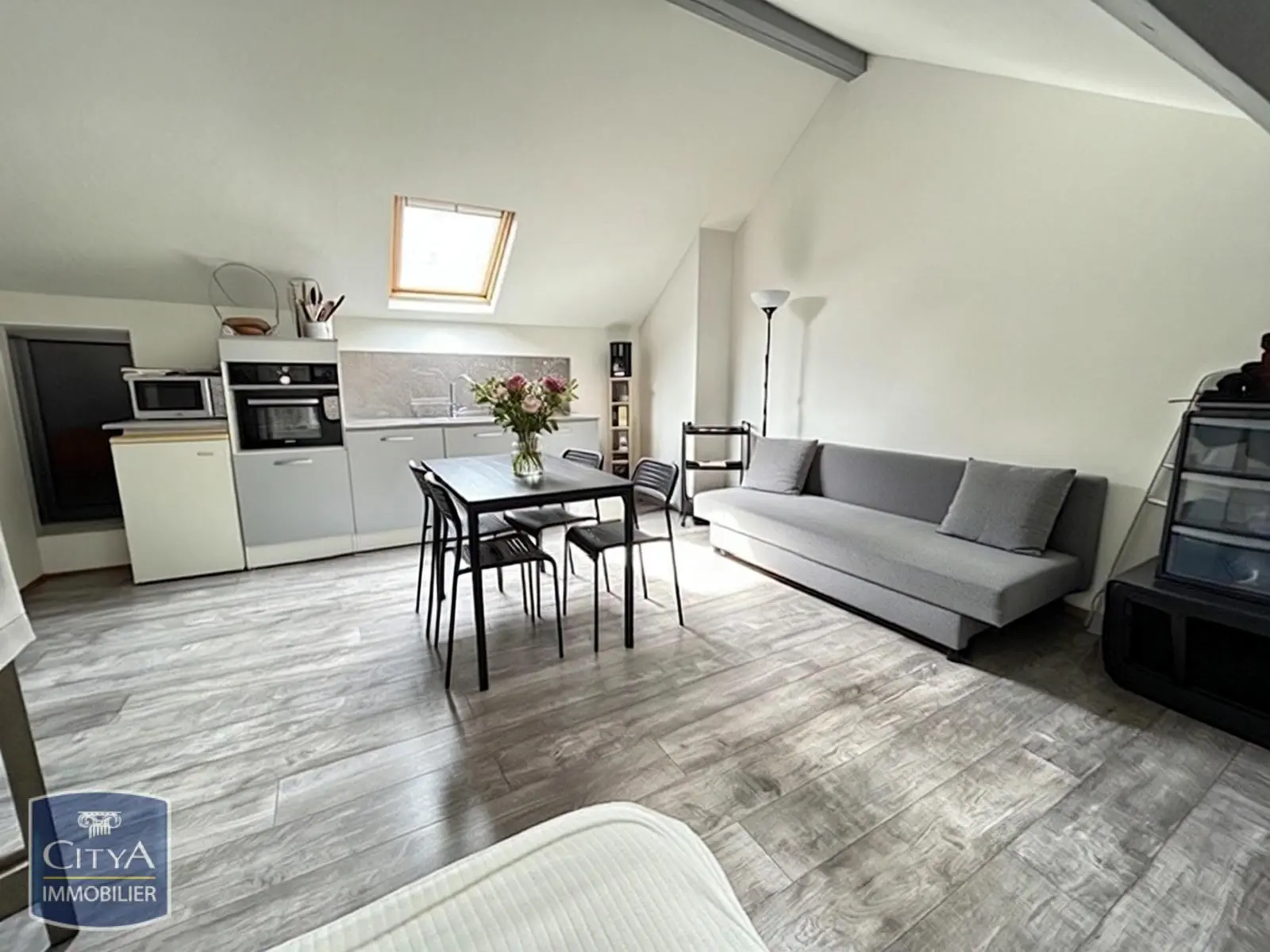 Photo 3 Appartement 1 pièce 21m²