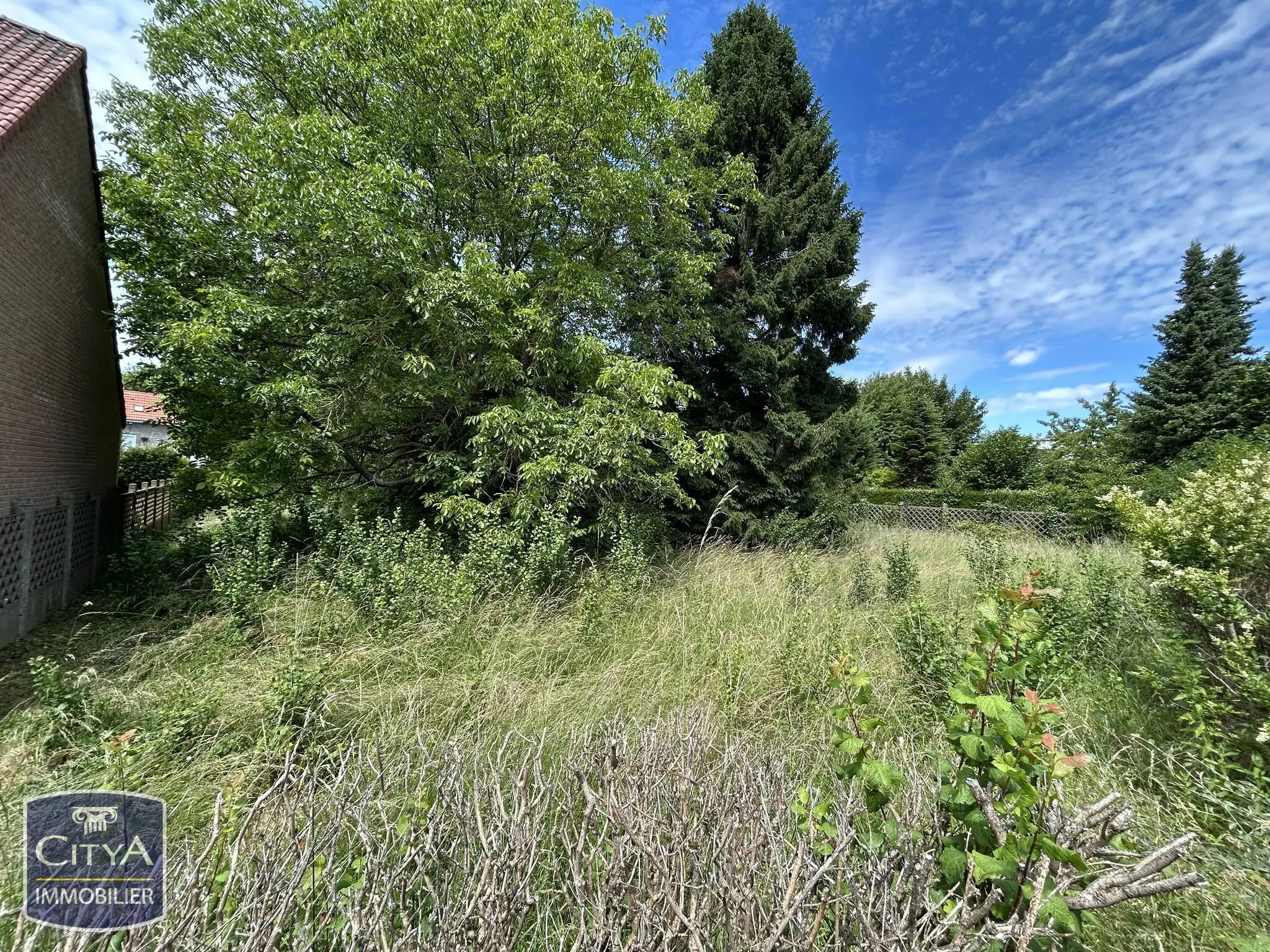 Photo 3 Terrain