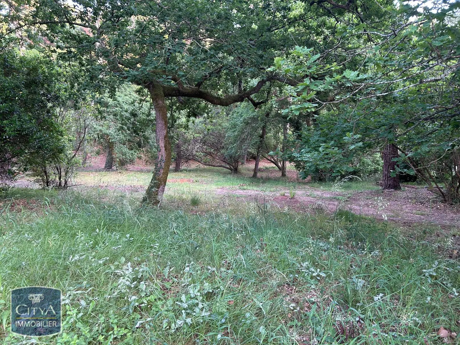 Photo 6 Terrain 1053m²
