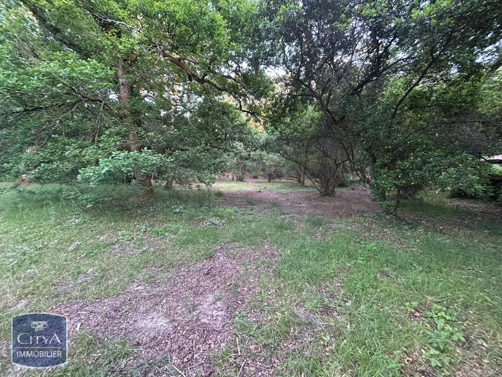 Photo 3 Terrain 1053m²