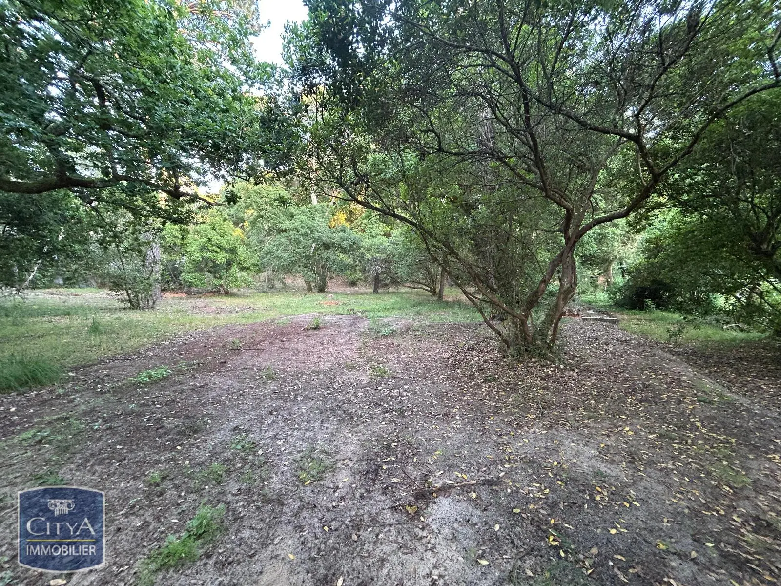 Photo 4 Terrain 1053m²