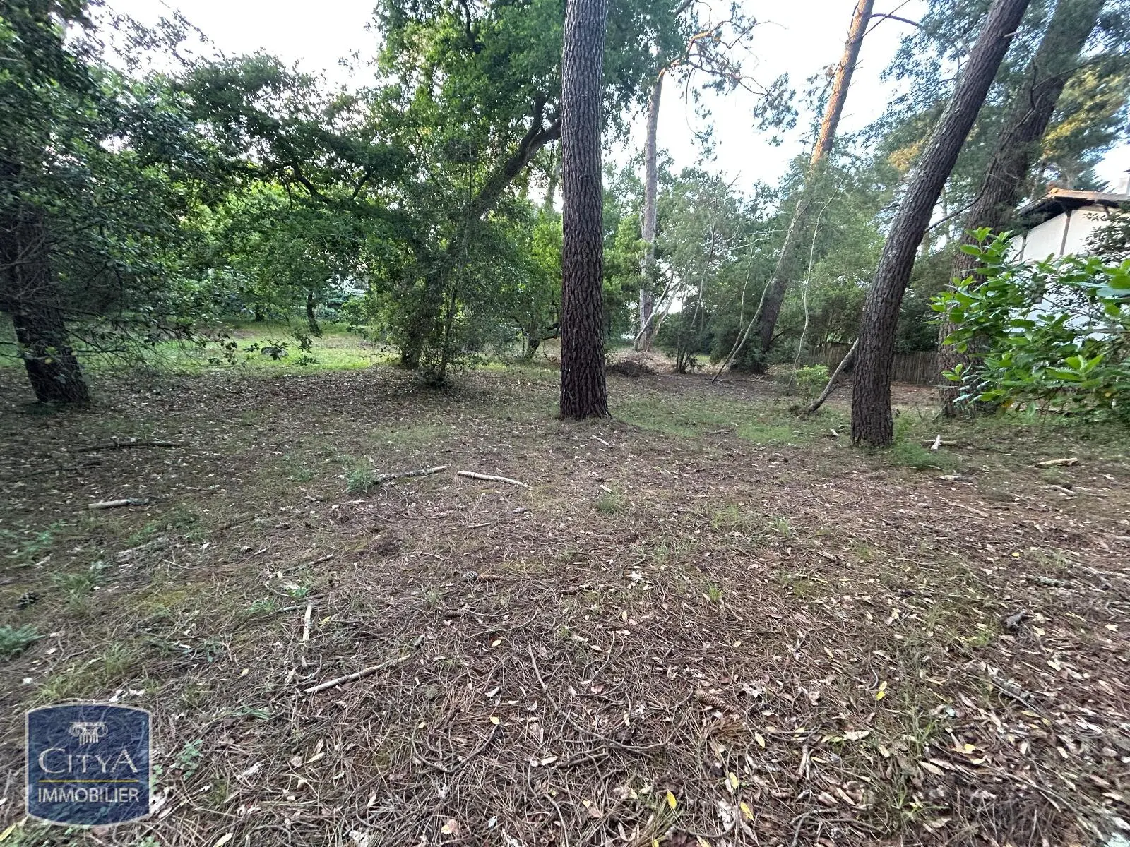 Photo 1 Terrain 1050m²