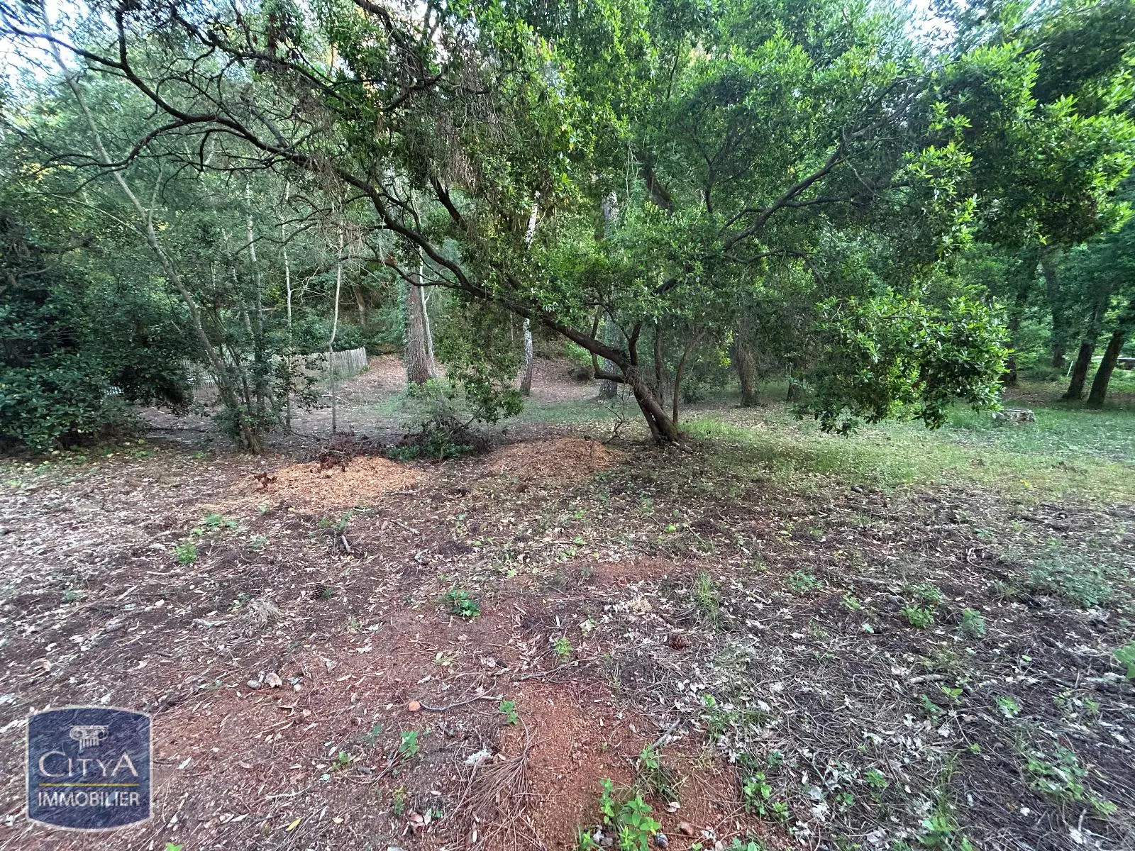 Photo 3 Terrain 1050m²
