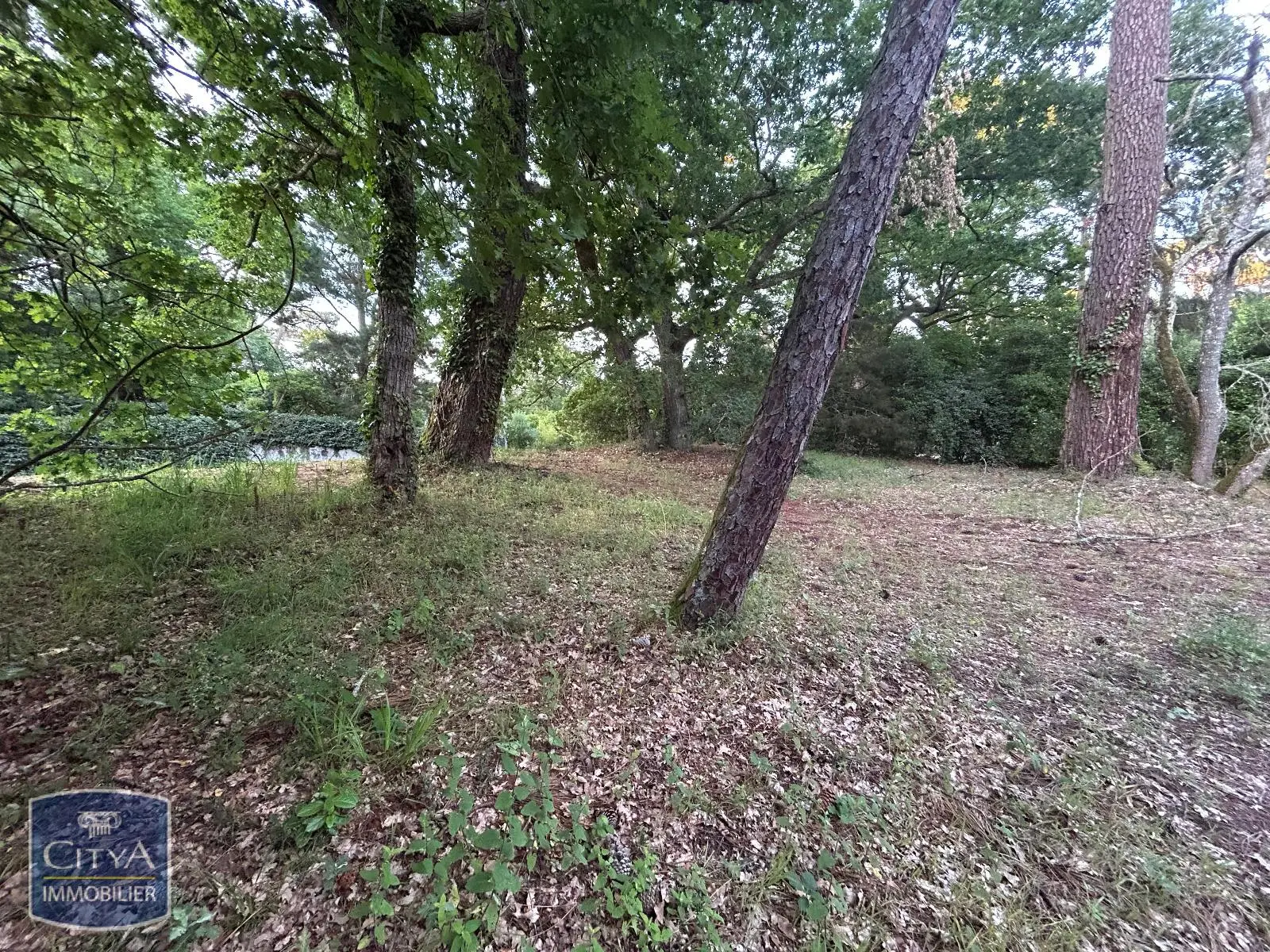 Photo 4 Terrain 1050m²