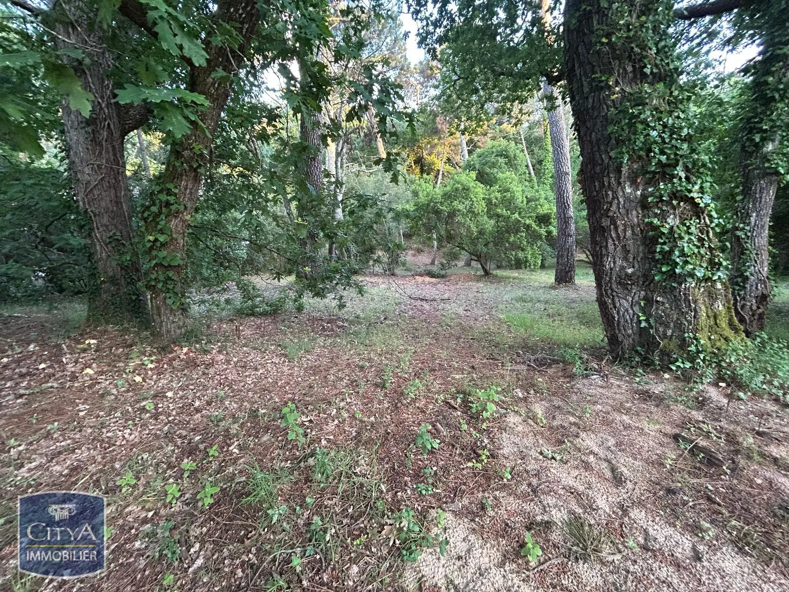 Photo 5 Terrain 1050m²