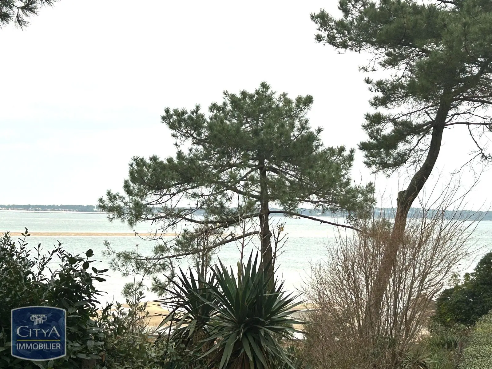 Photo 4 Appartement 1 pièce 10.75m²