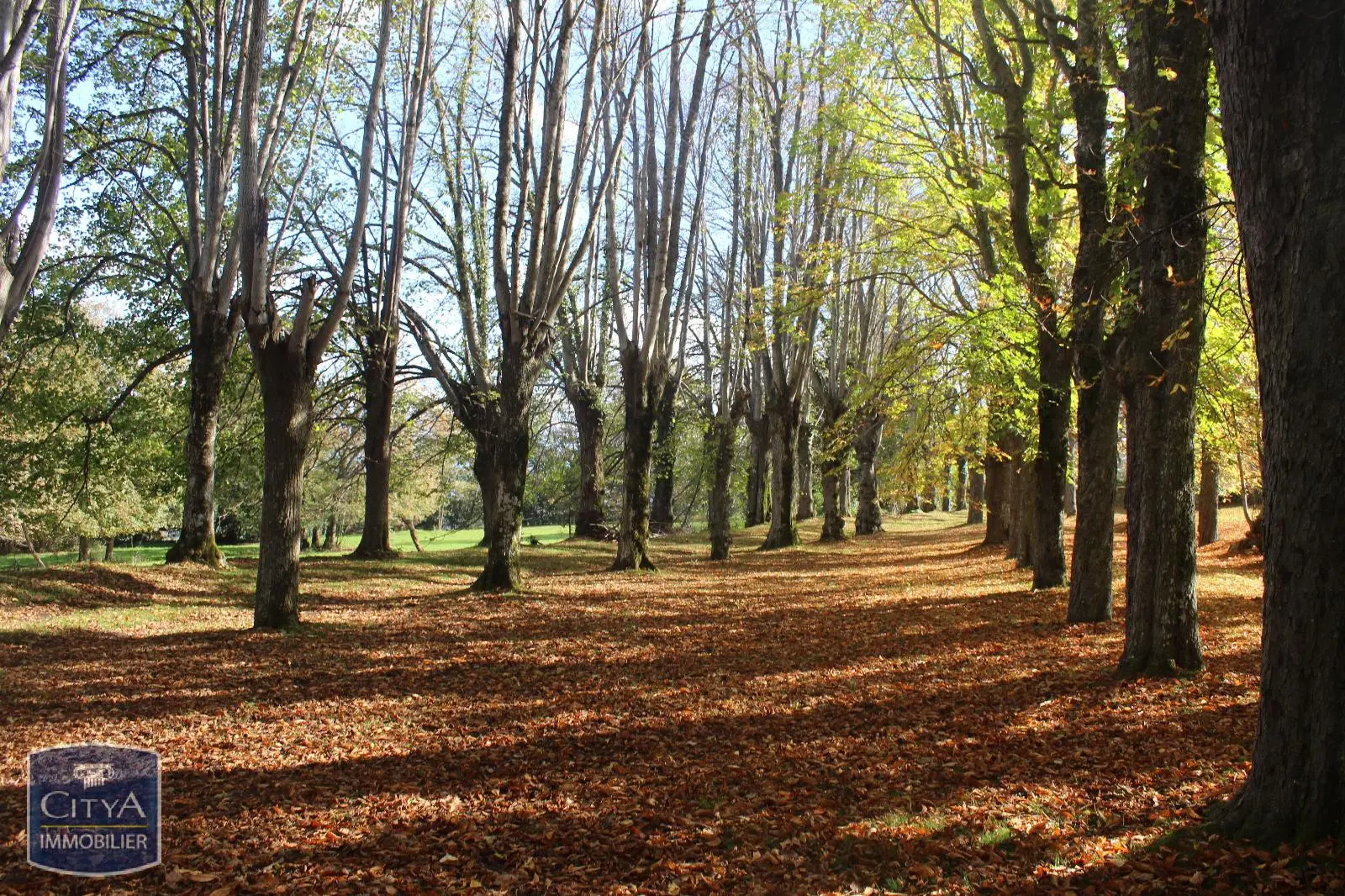 Photo 7 Demeure 21 pièces 580m²