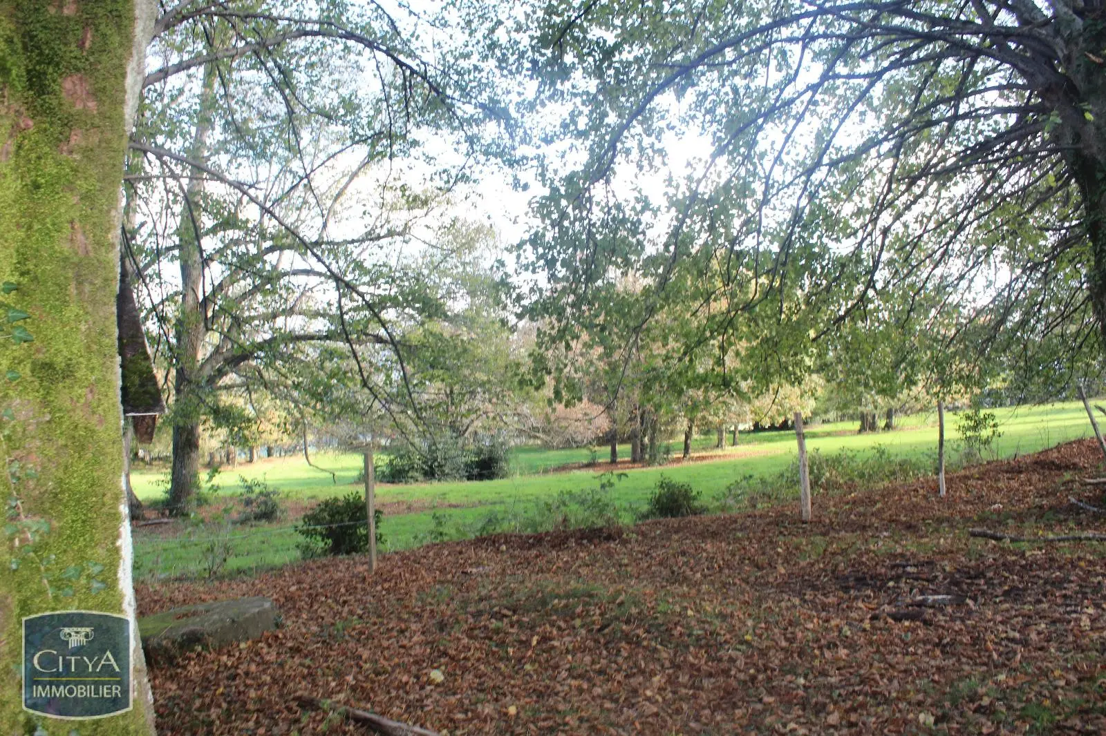 Photo 8 Demeure 21 pièces 580m²