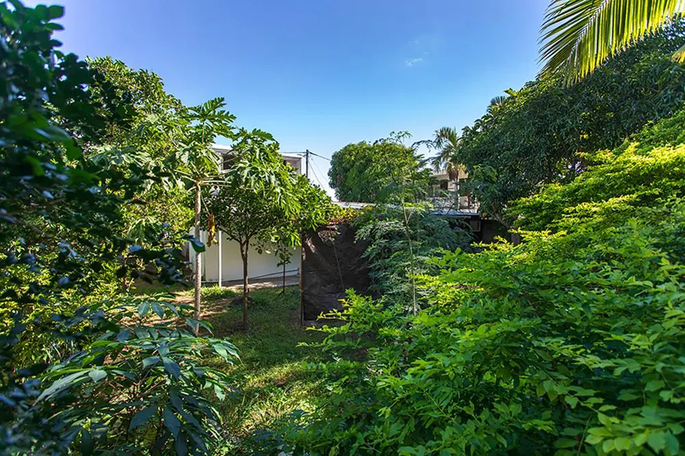 Photo 6 Terrain 422m²