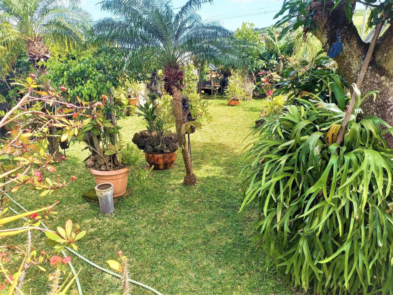 Photo 13 Maison 5 pièces 85m²