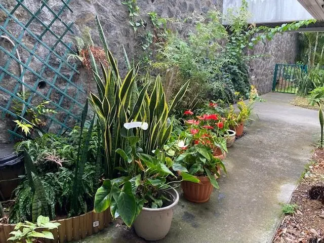 Photo 15 Appartement 2 pièces 50m²