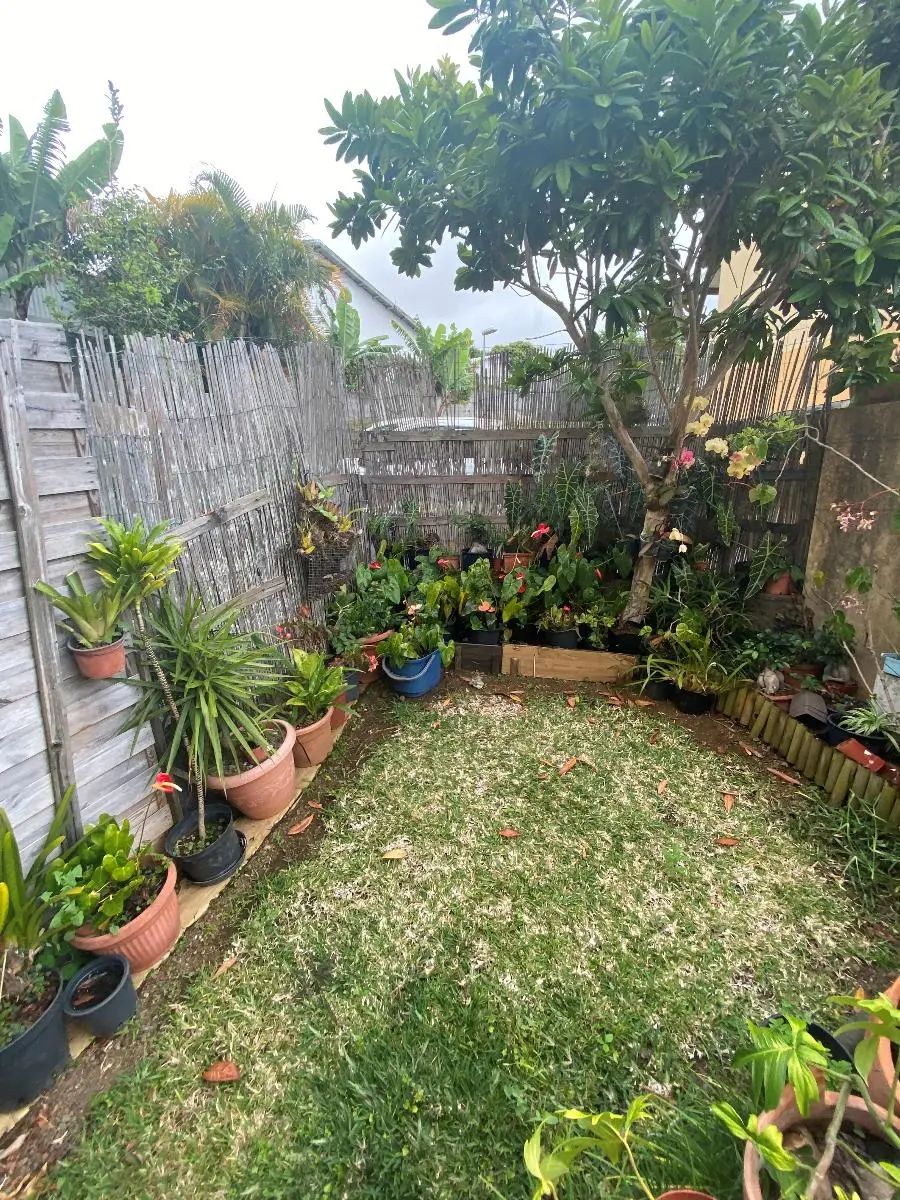 Photo 2 maison Le Tampon