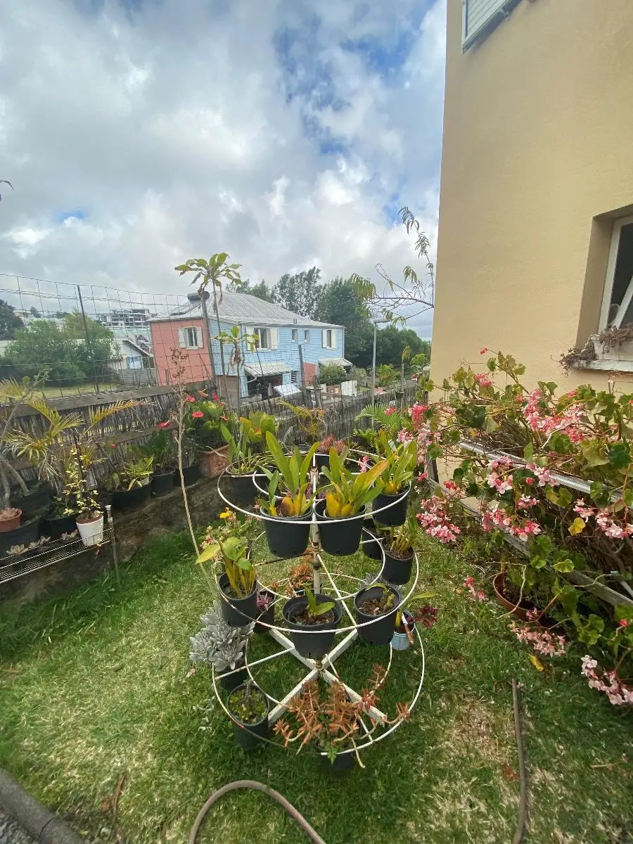 Photo 3 maison Le Tampon