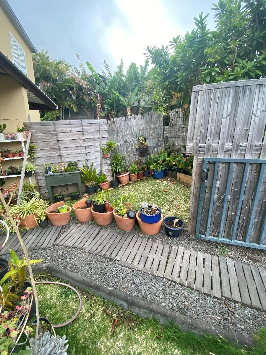 Photo 5 maison Le Tampon