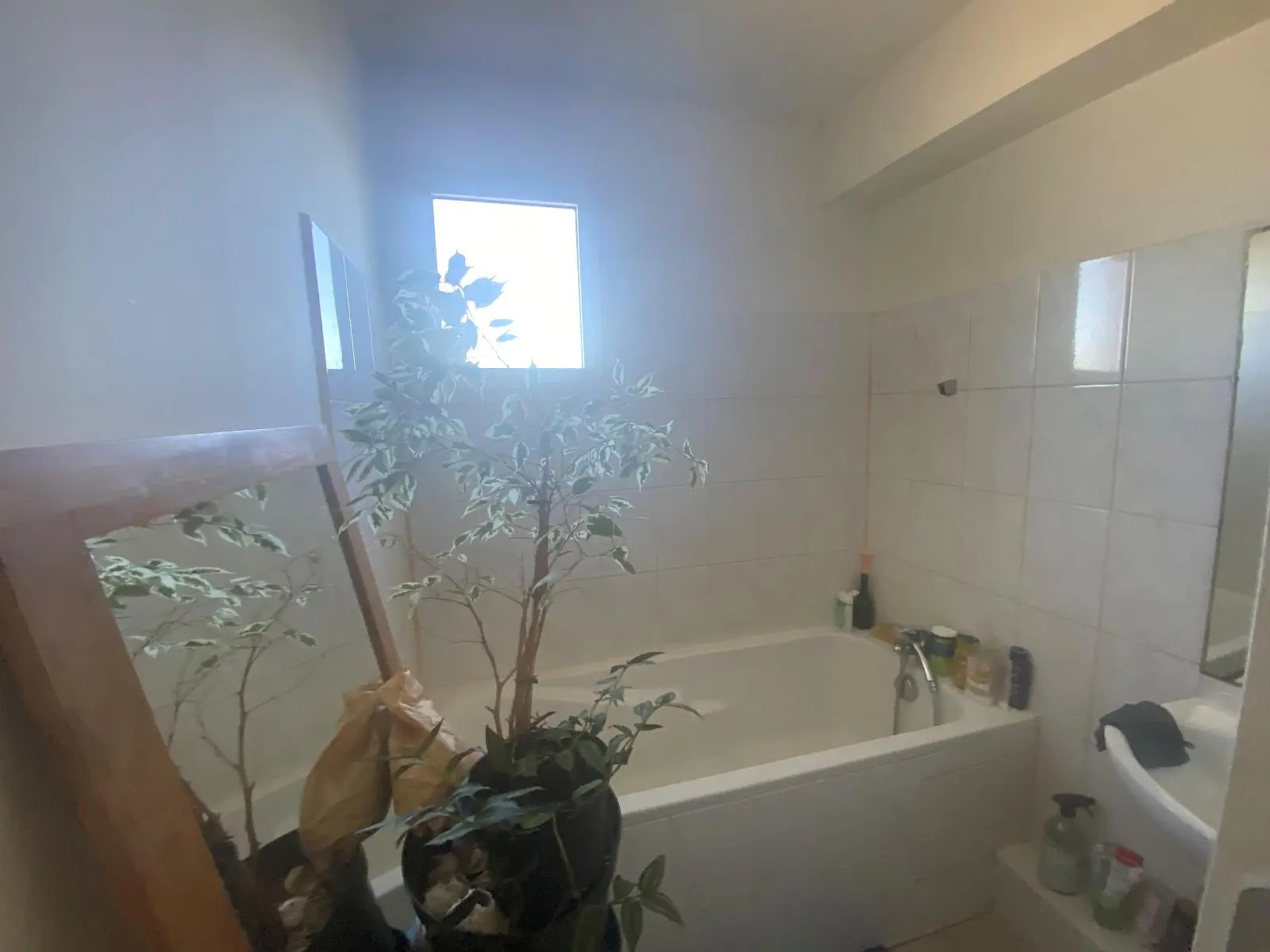 Photo 6 Appartement 3 pièces 50m²