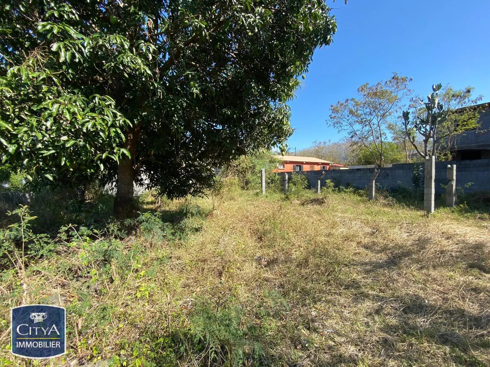 Photo 3 Terrain 430m²