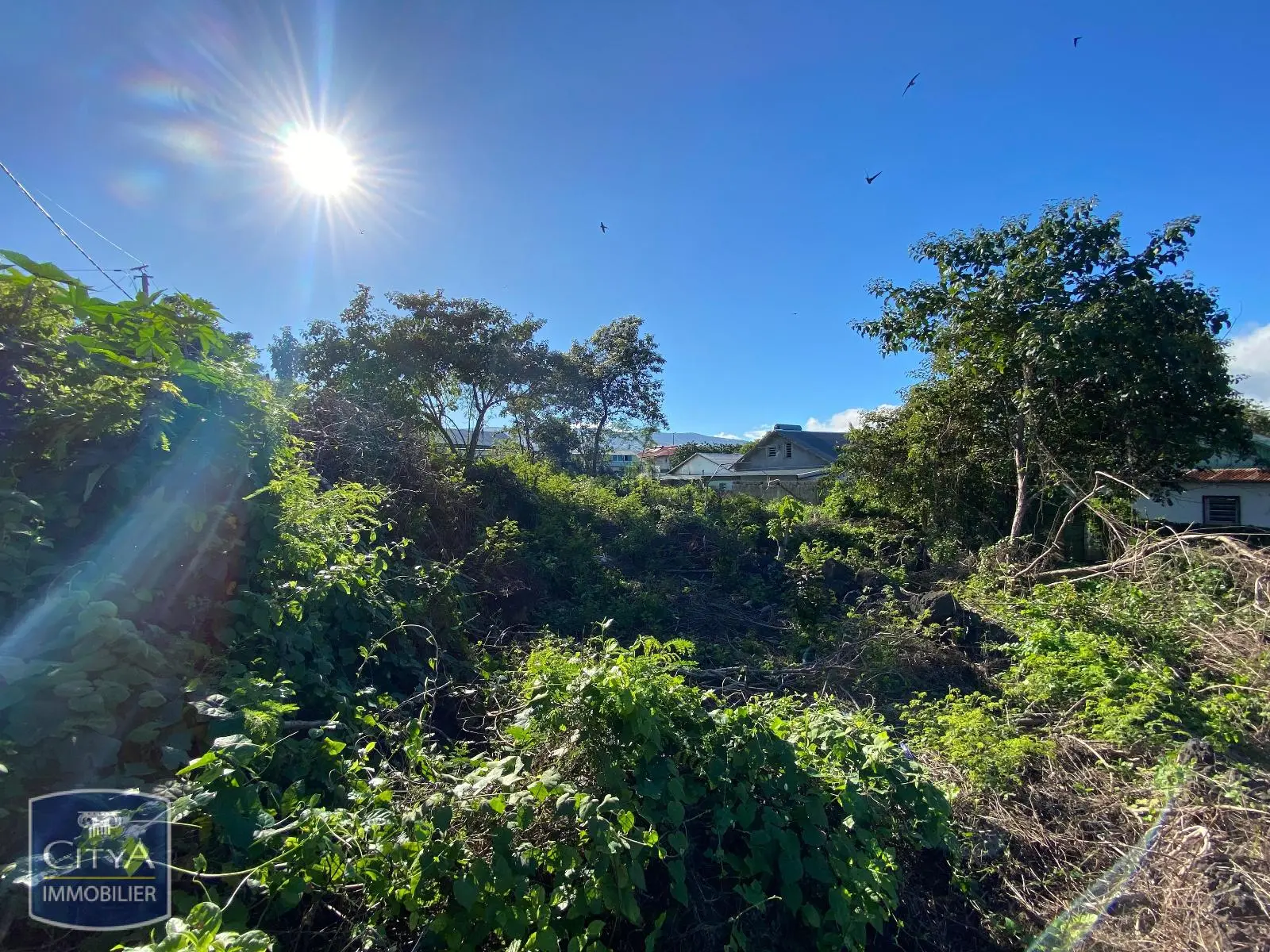 Photo 1 Terrain 1149m²