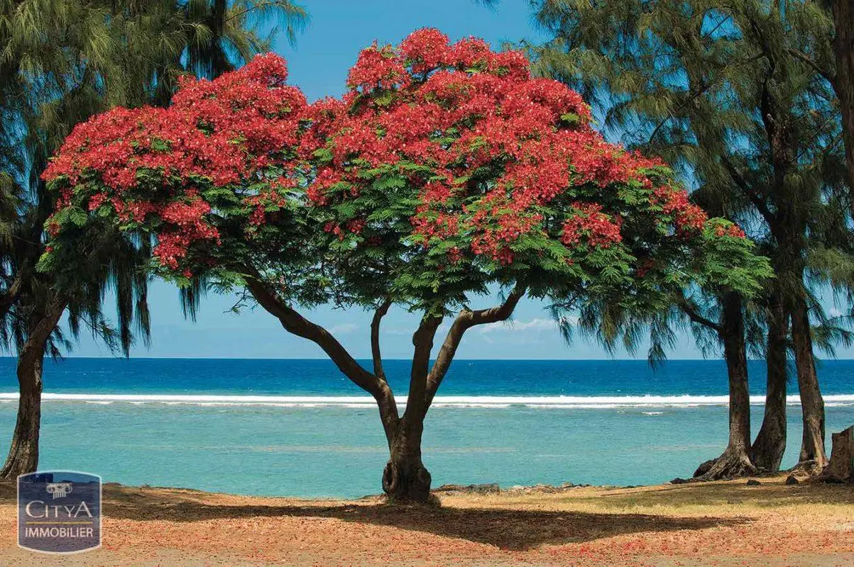 Photo 3 Appartement 4 pièces 125m²