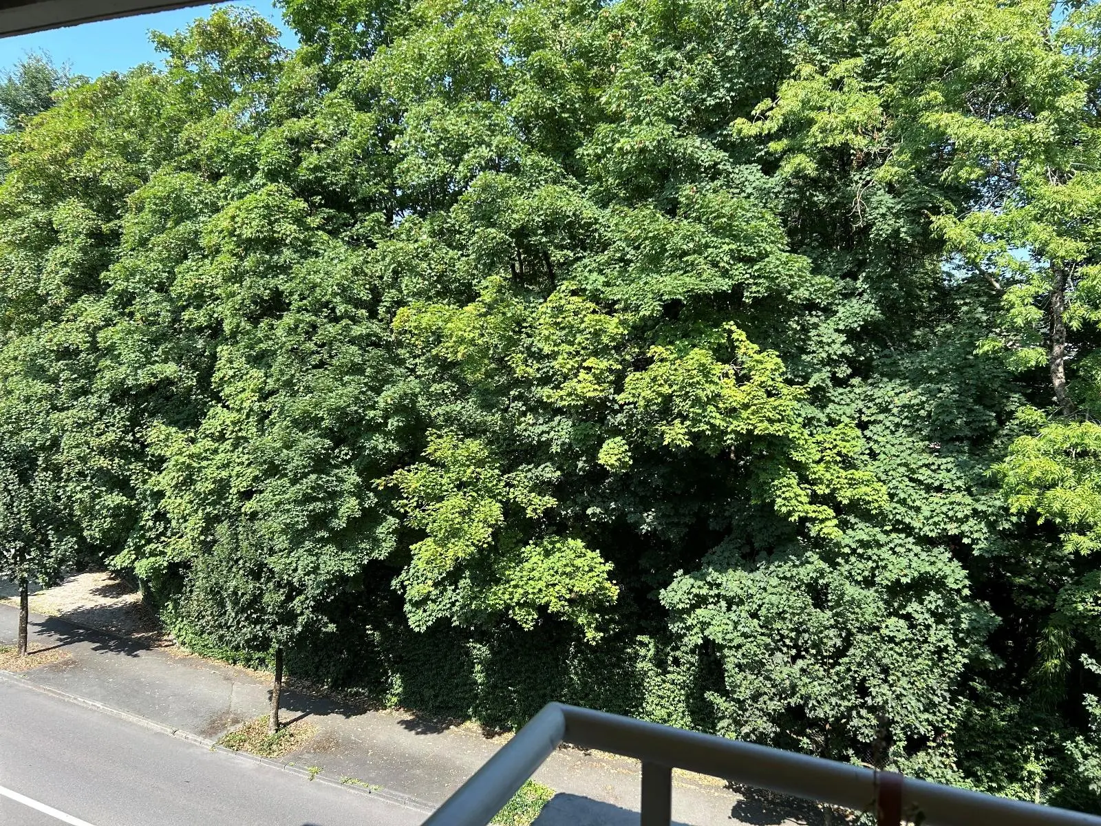 Photo 4 Appartement 5 pièces 119.55m²