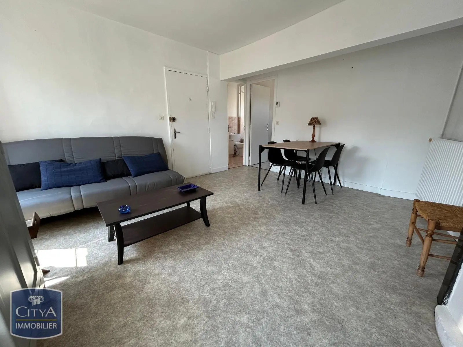 Photo 3 Appartement 1 pièce 26.31m²