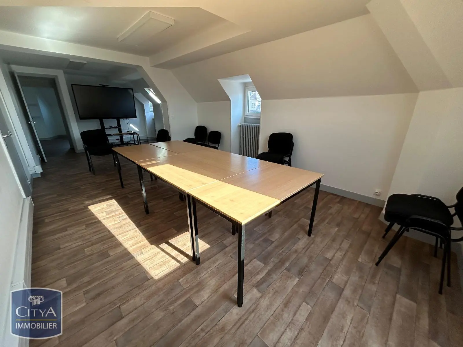 Photo 16 Local Professionnel