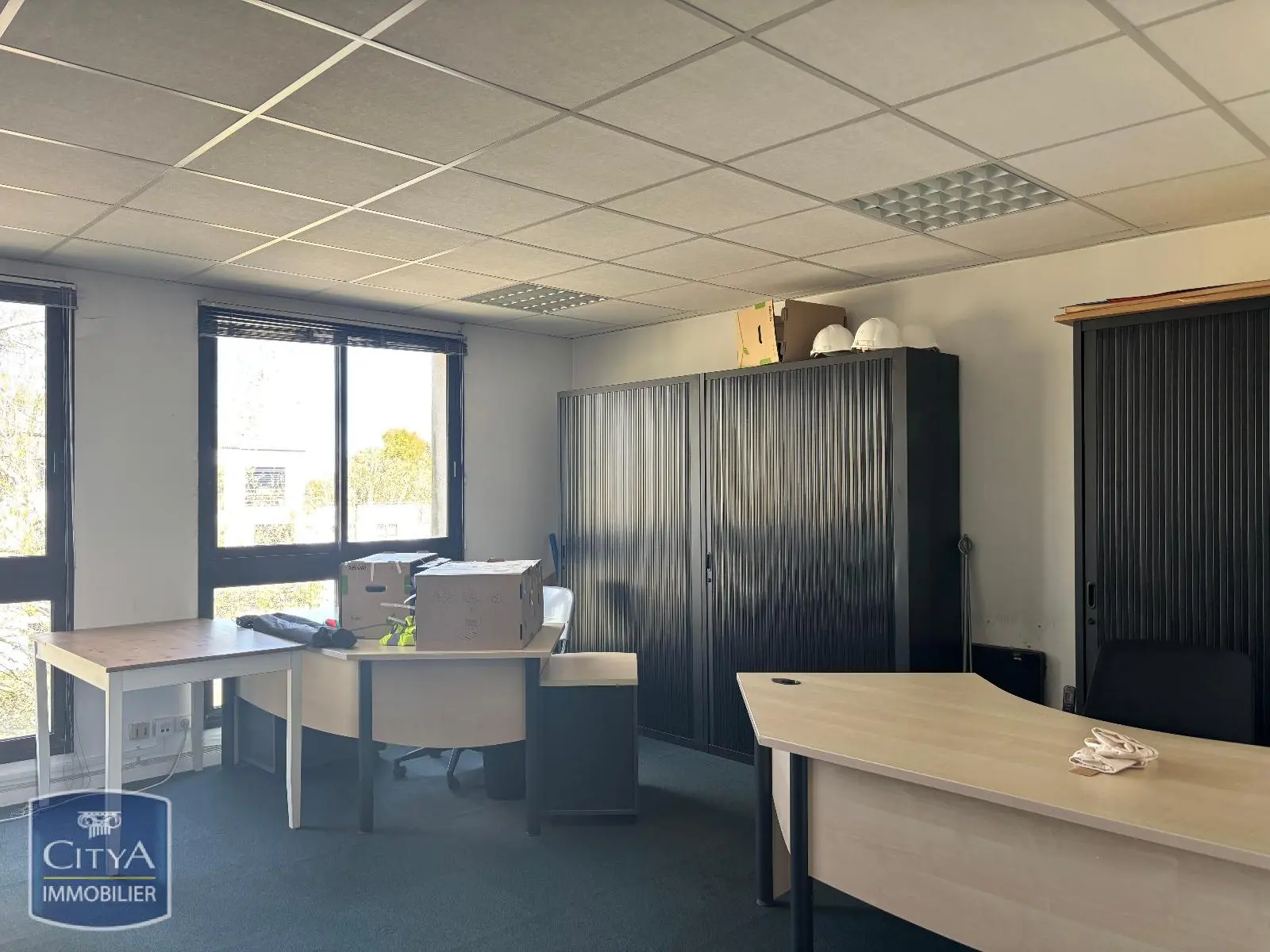 Photo 1 Local Professionnel