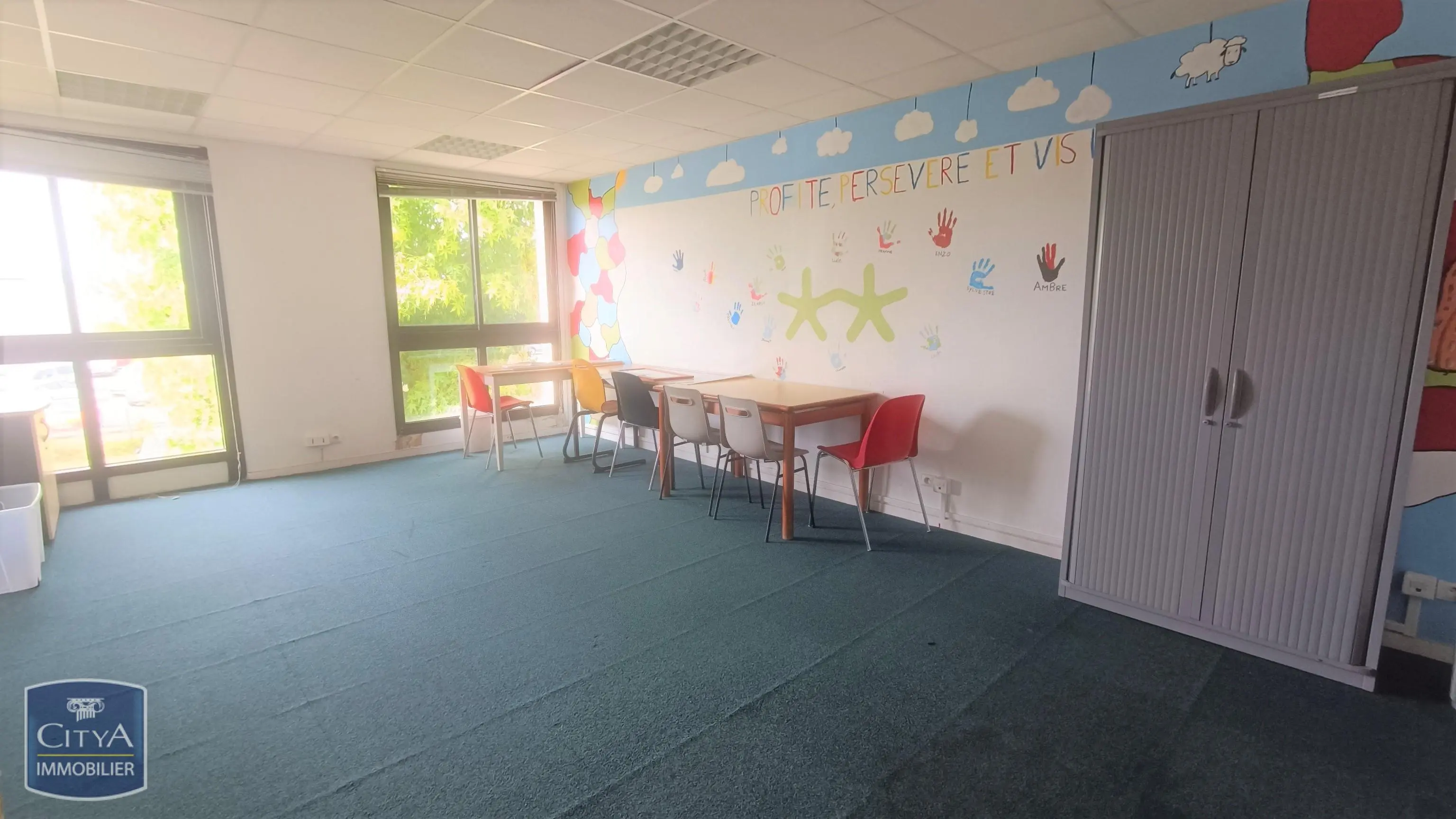 Photo 1 Local Professionnel 4 pièces