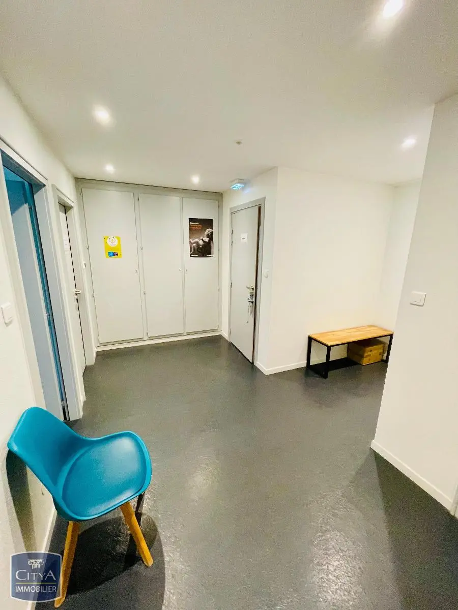 Photo 8 Local Professionnel