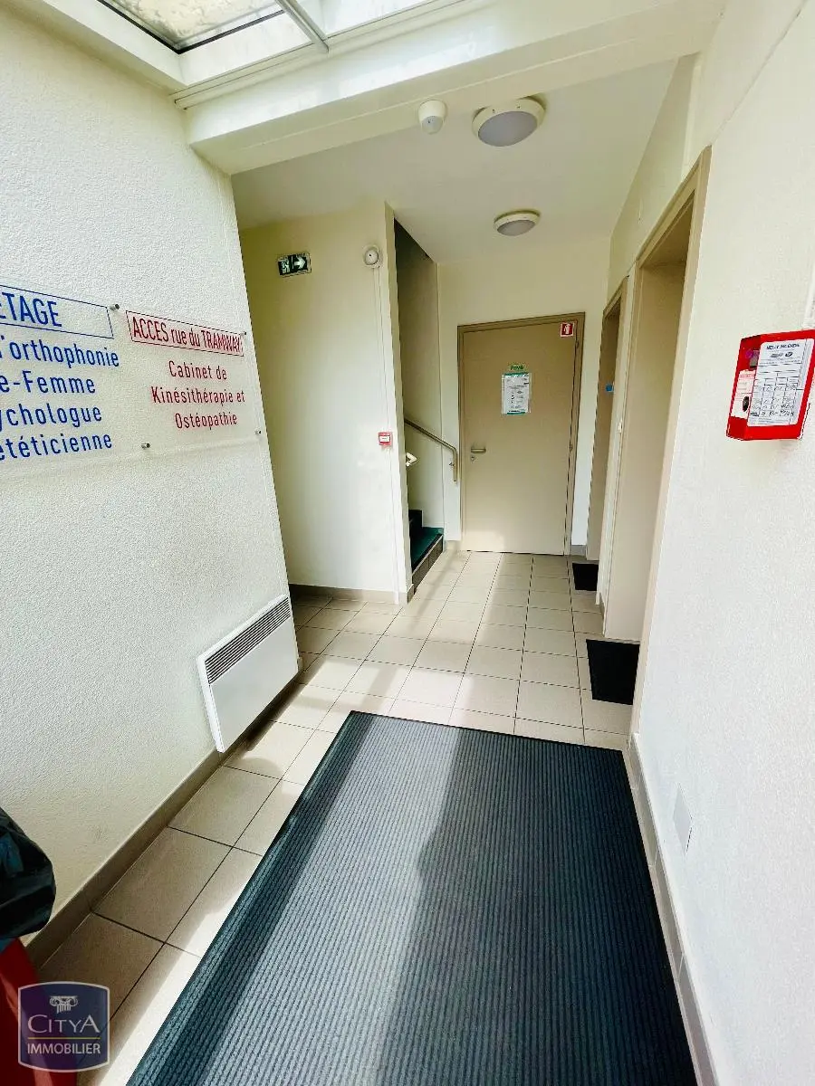 Photo 3 Local Professionnel