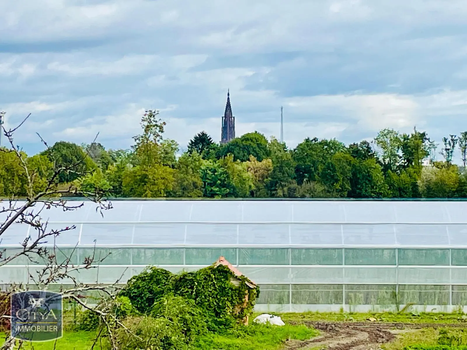 Photo 1 Appartement 4 pièces 114m²