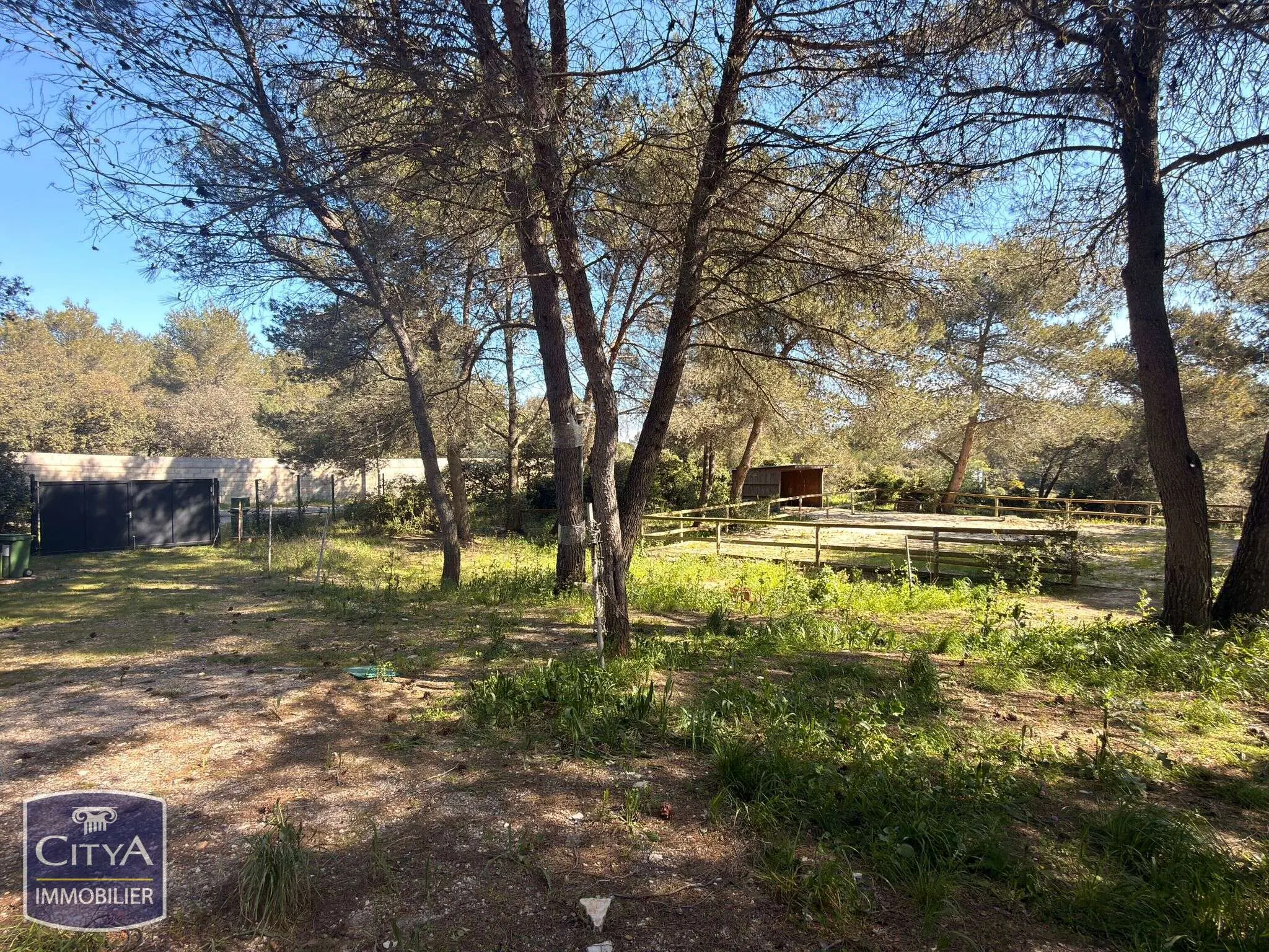Photo 6 maison Nîmes