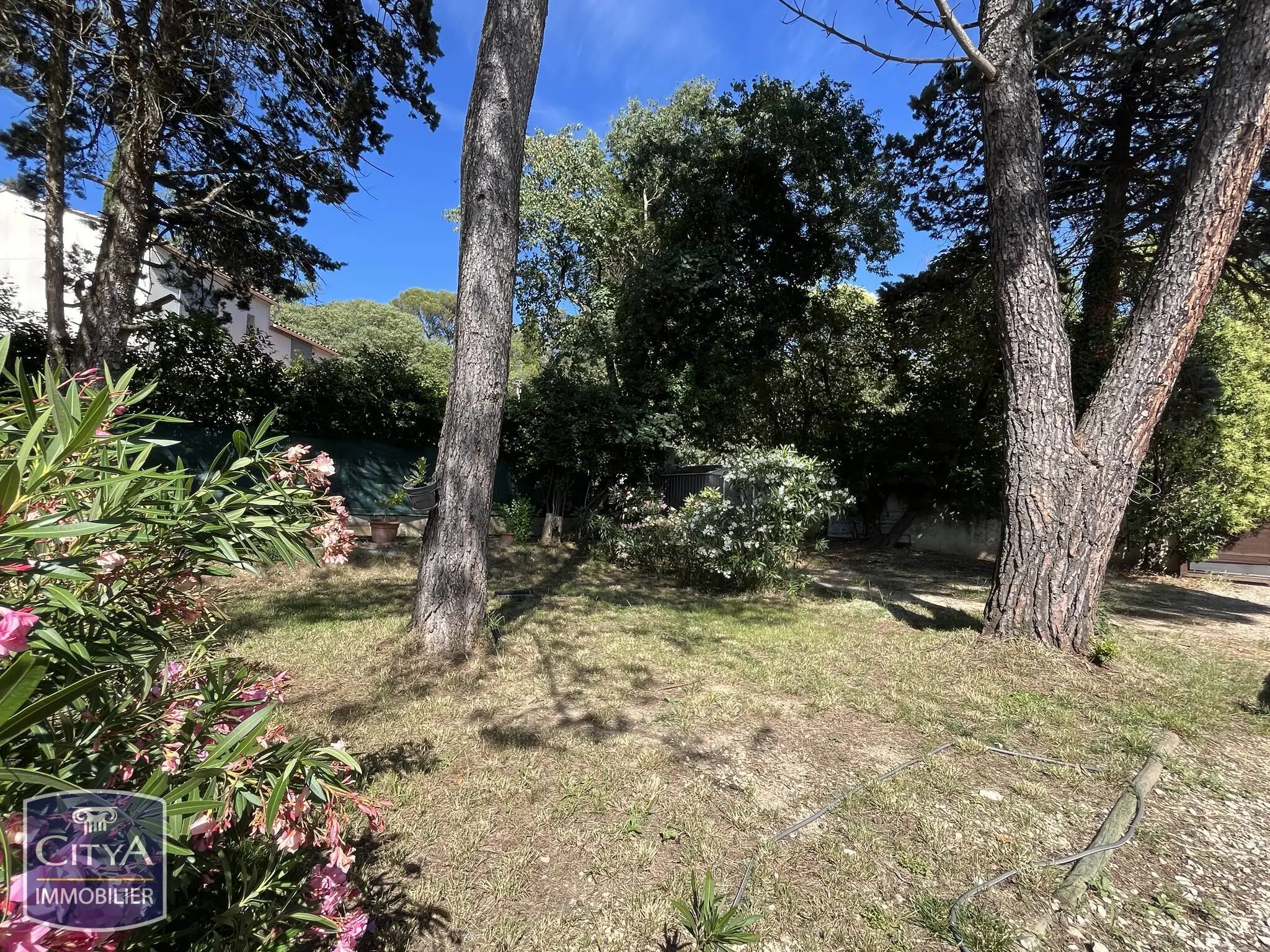 Photo 1 Terrain